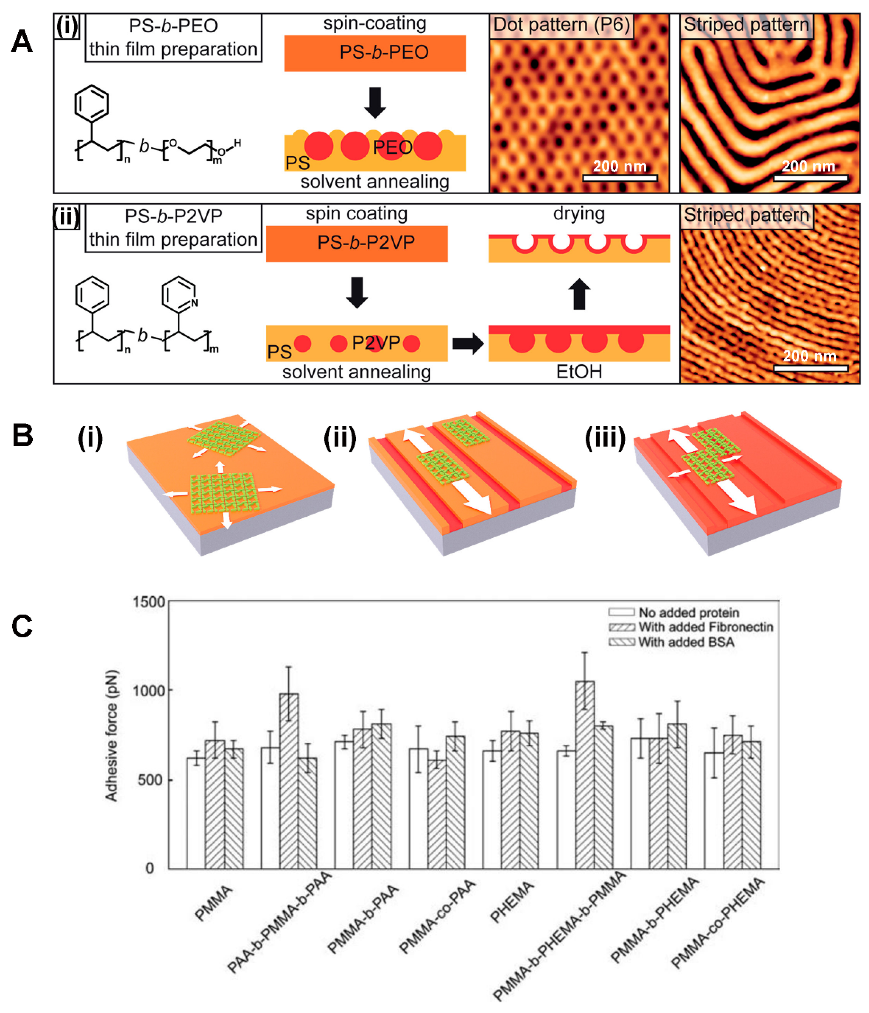 Polymers 16 01267 g005