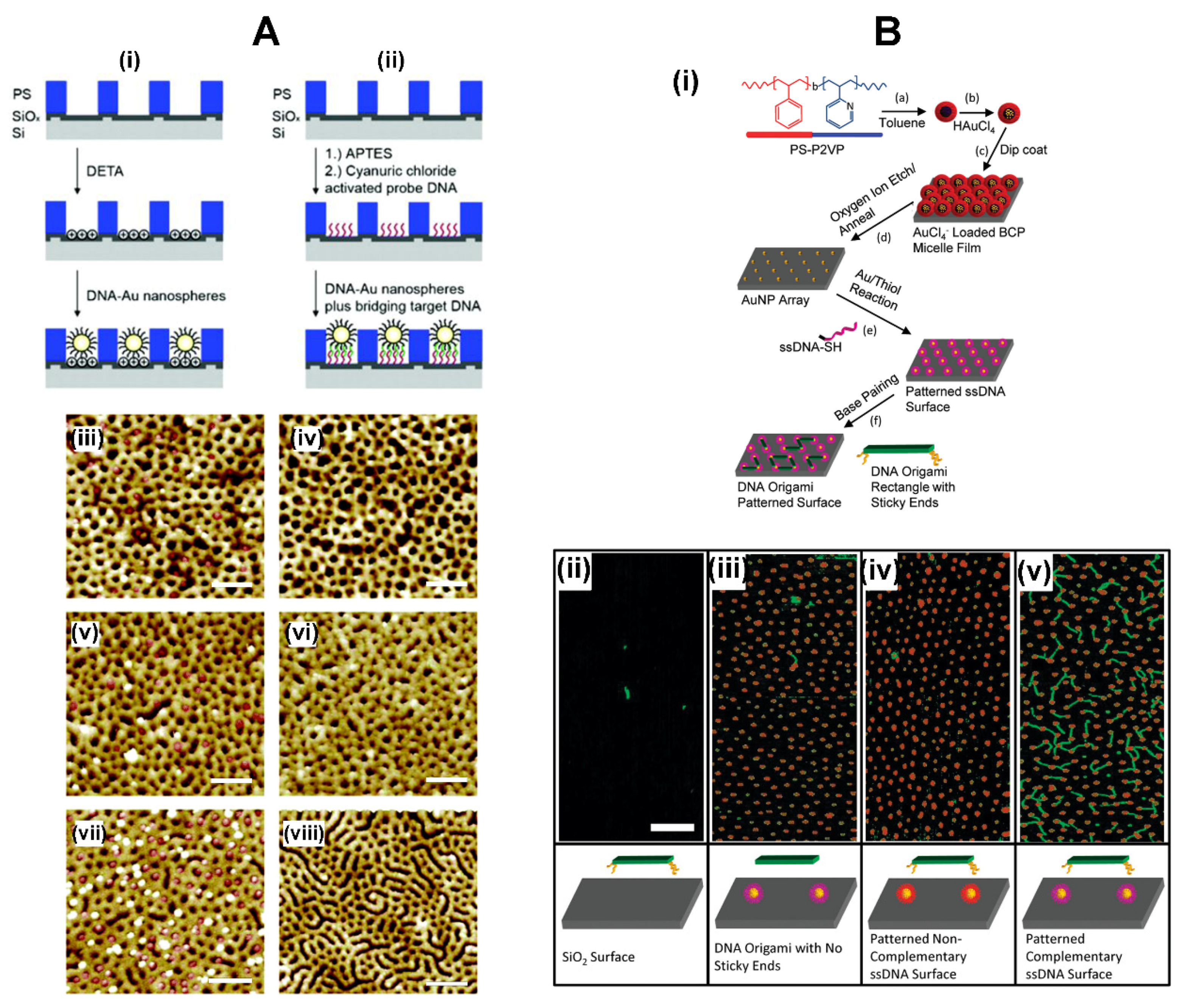 Polymers 16 01267 g006