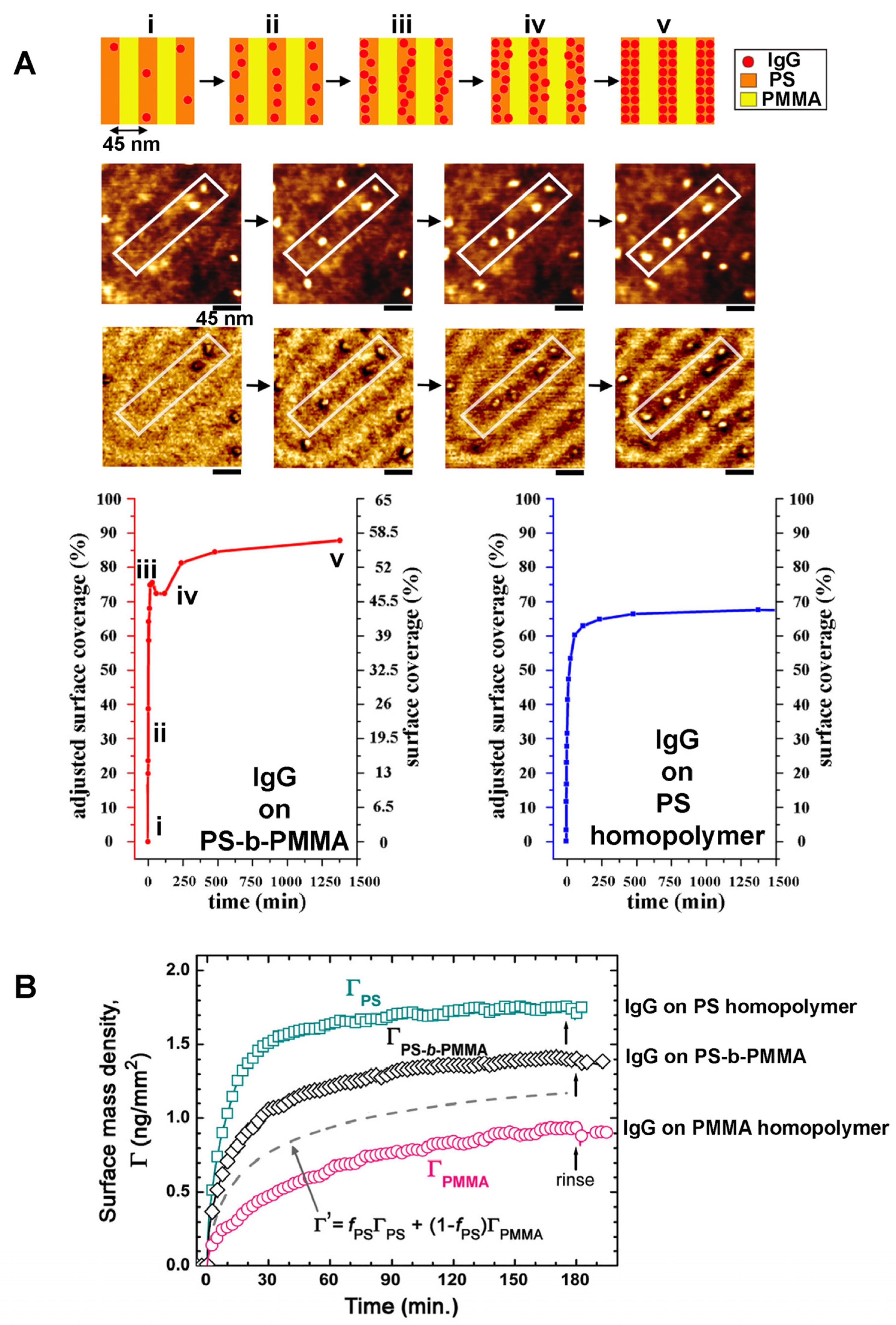 Polymers 16 01267 g007