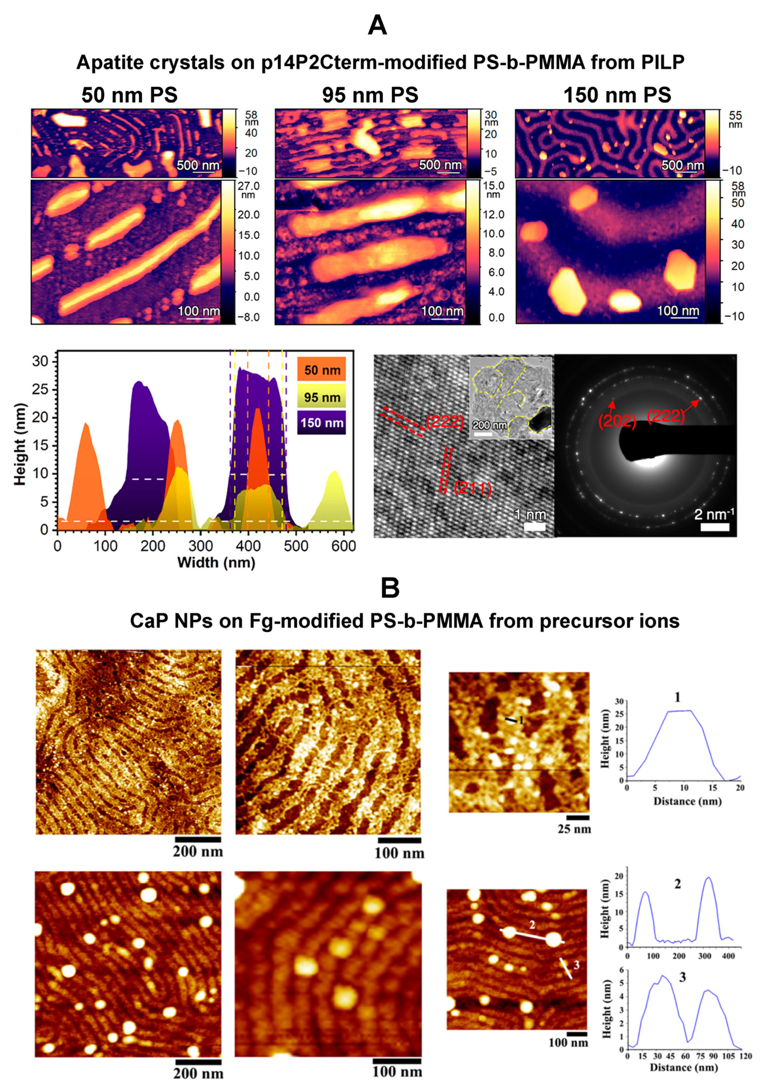Polymers 16 01267 g009