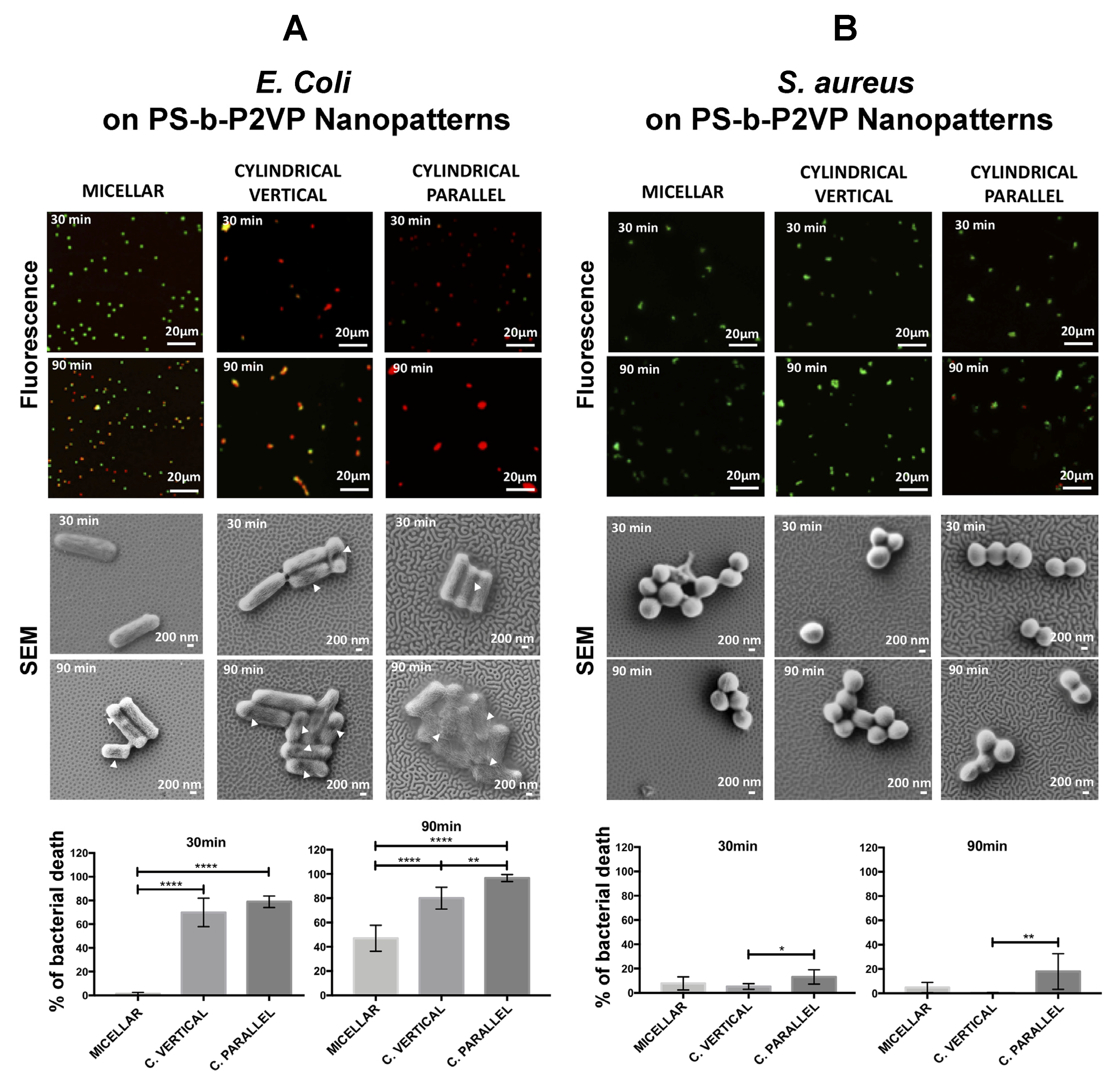 Polymers 16 01267 g010