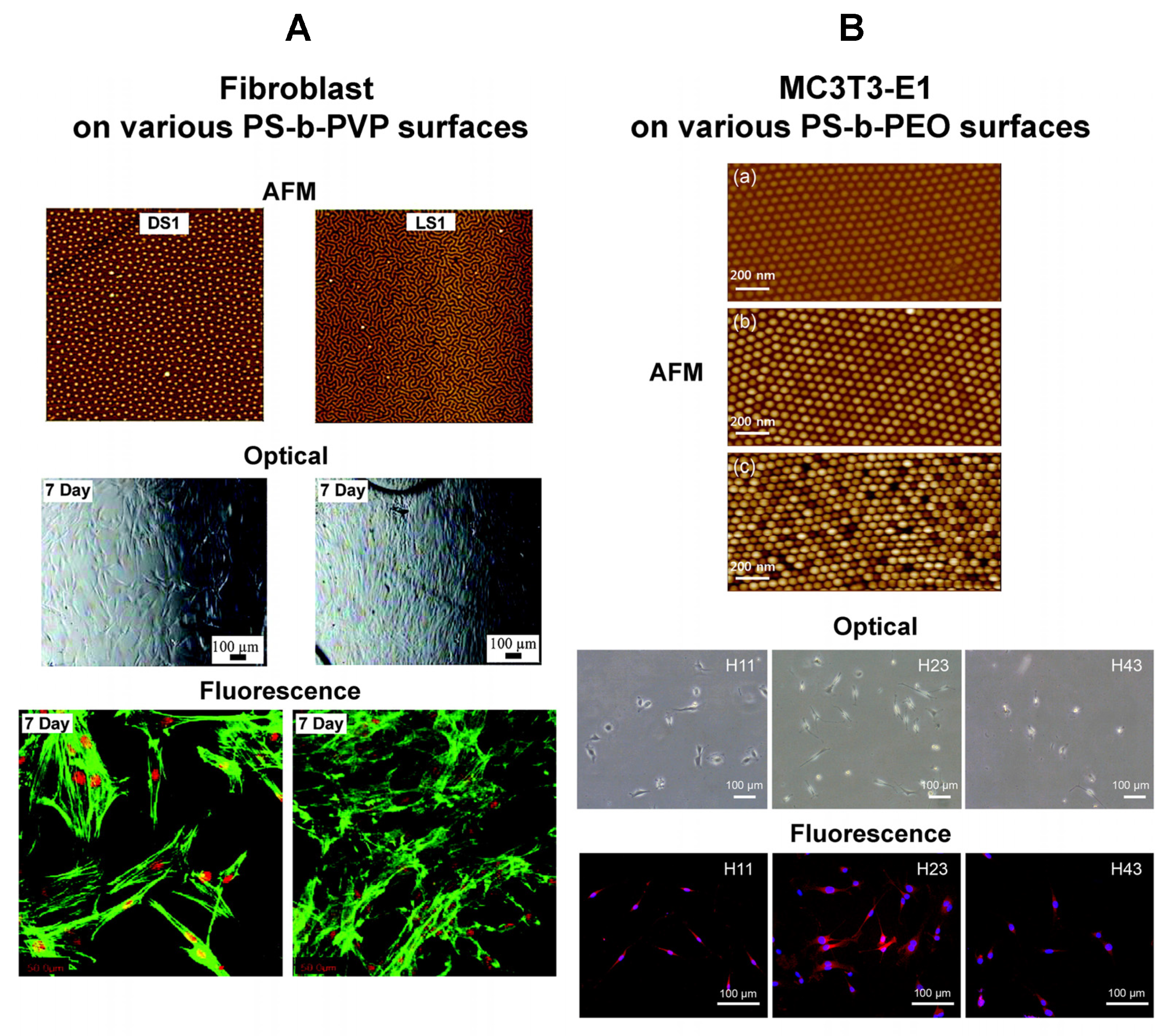 Polymers 16 01267 g011