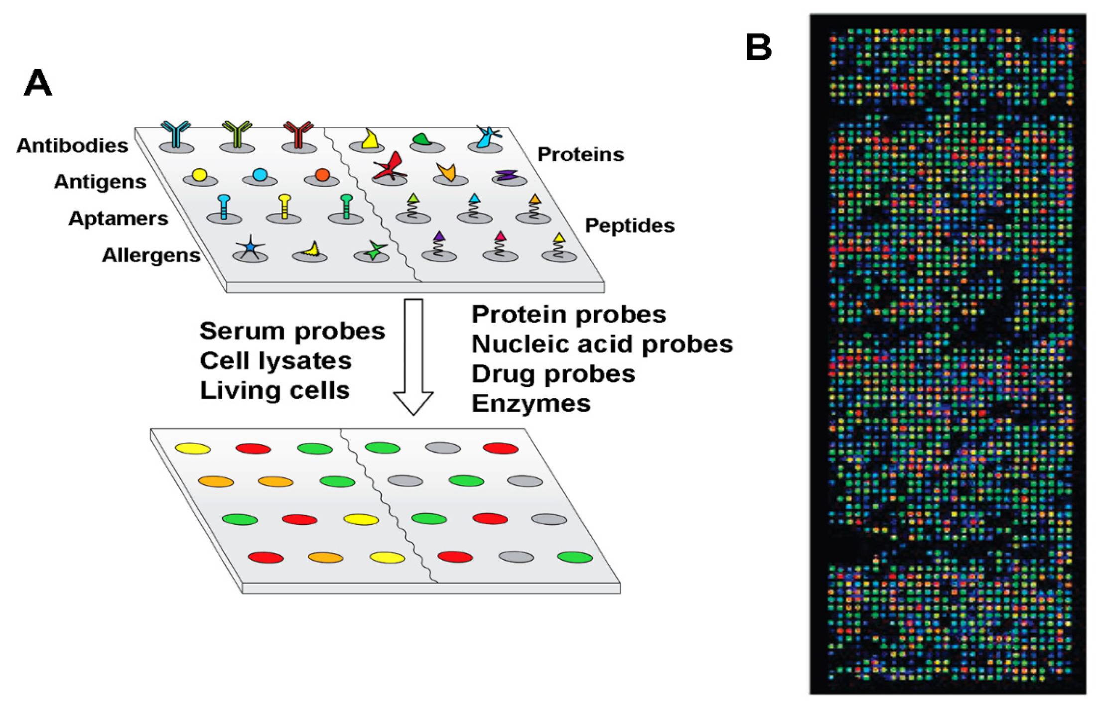 Polymers 16 01267 g012