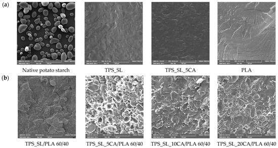 Polymers 16 01268 g004a Polymers 16 01268 g004a