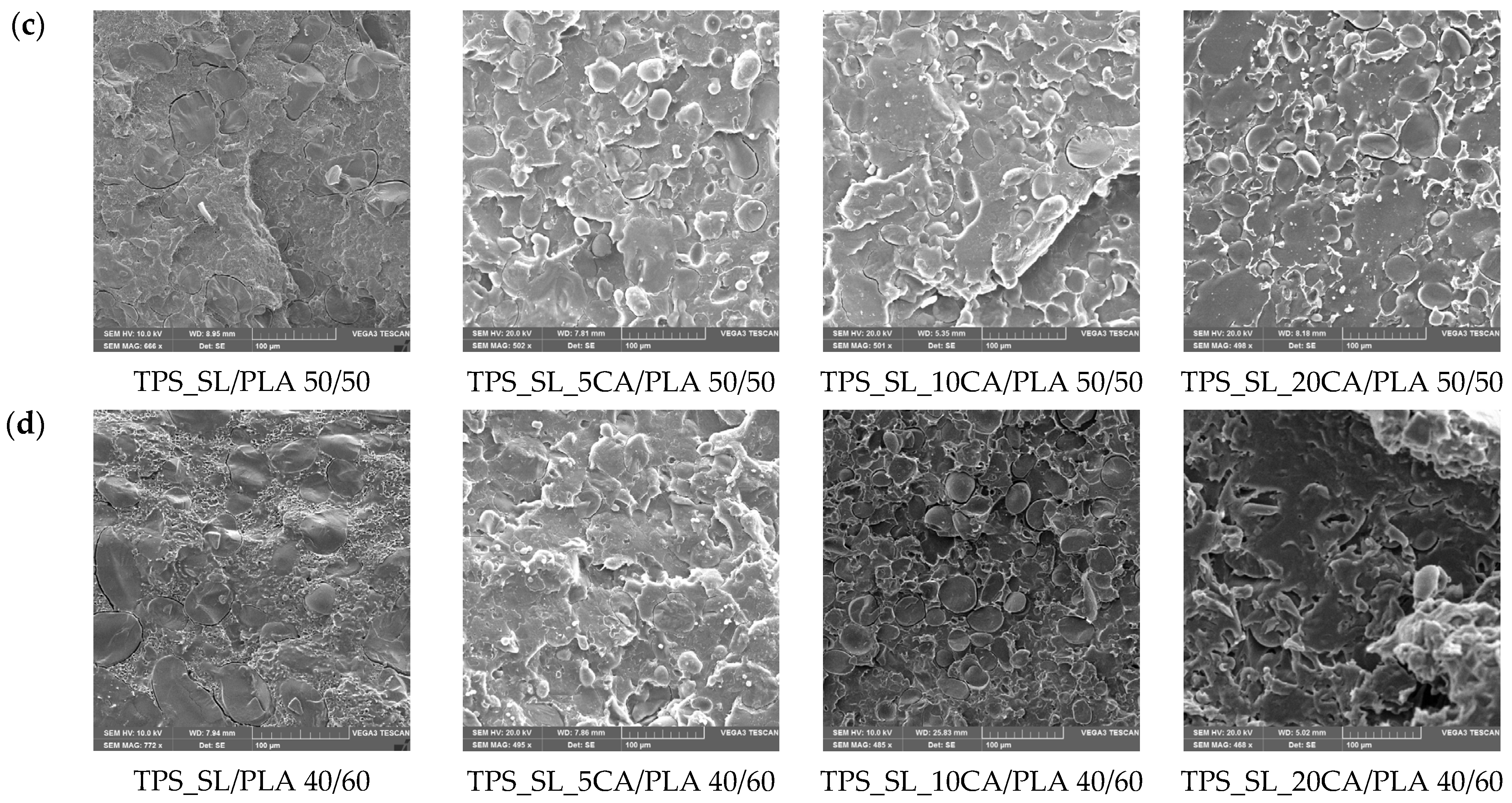 Polymers 16 01268 g004b Polymers 16 01268 g004b