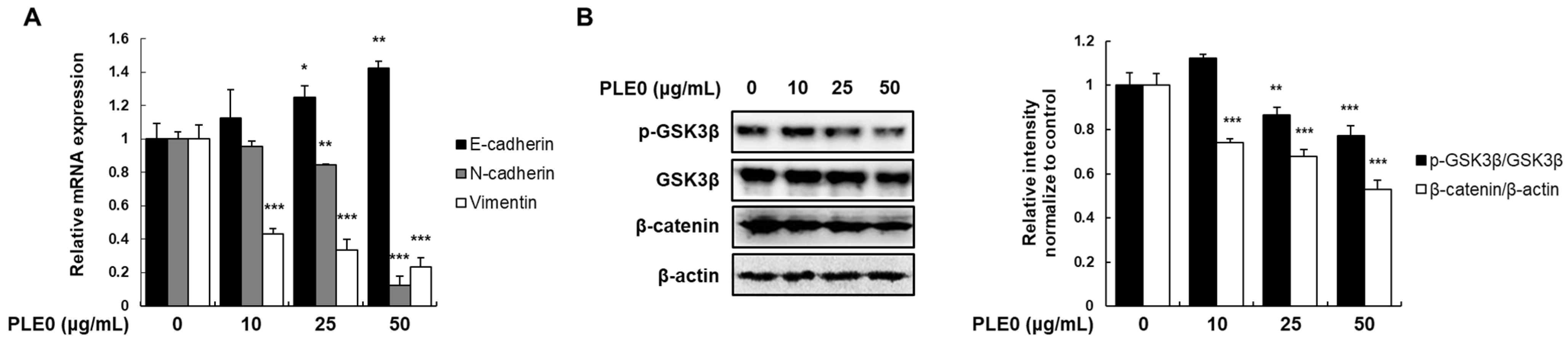 Polymers 16 01275 g003