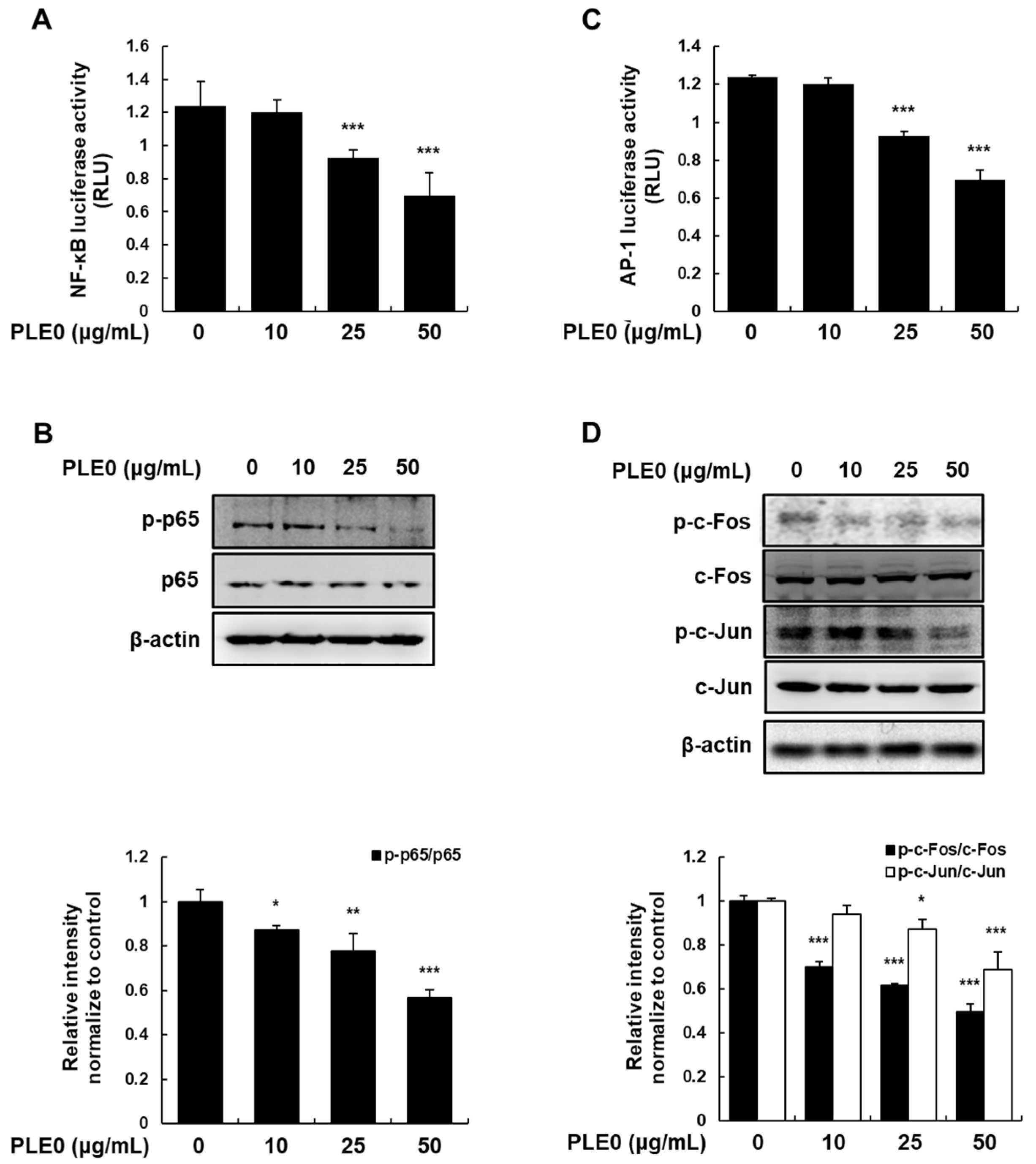 Polymers 16 01275 g005
