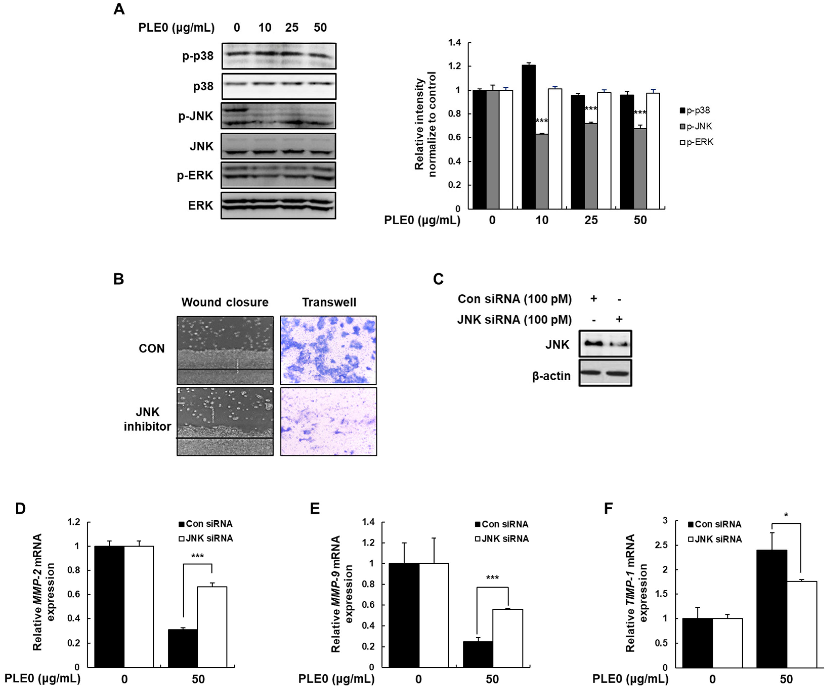 Polymers 16 01275 g006