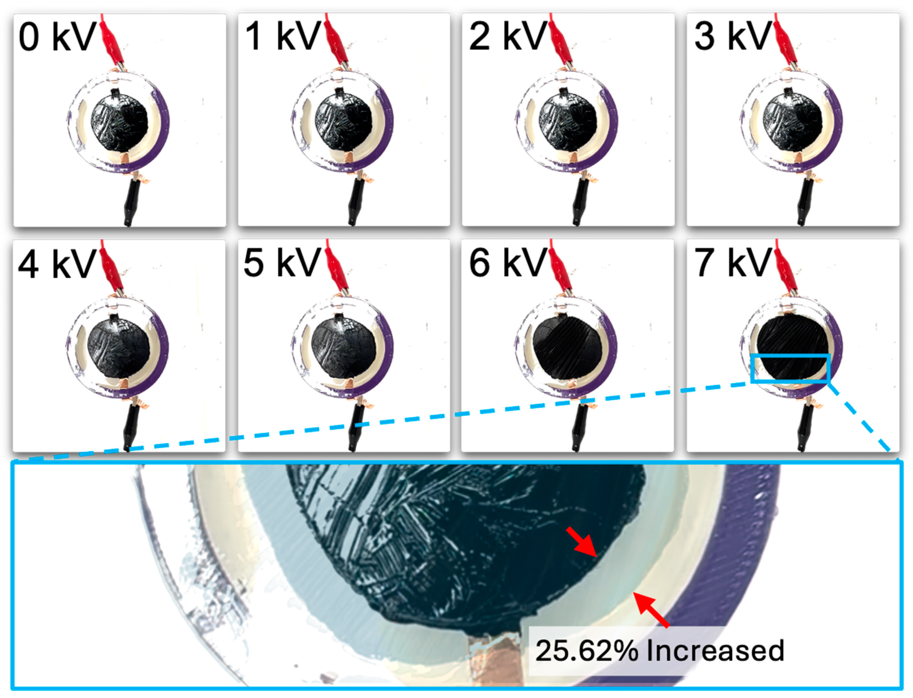 Polymers 16 01277 g005