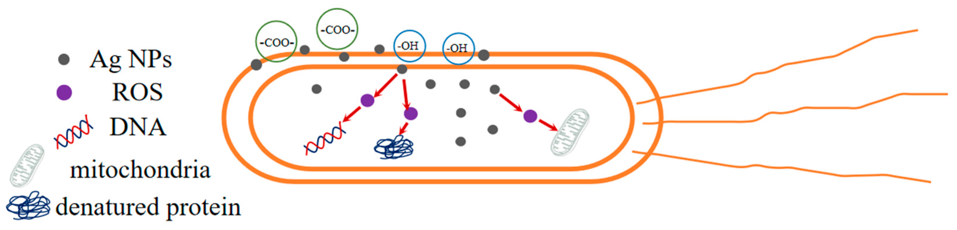 Polymers 16 01282 g009