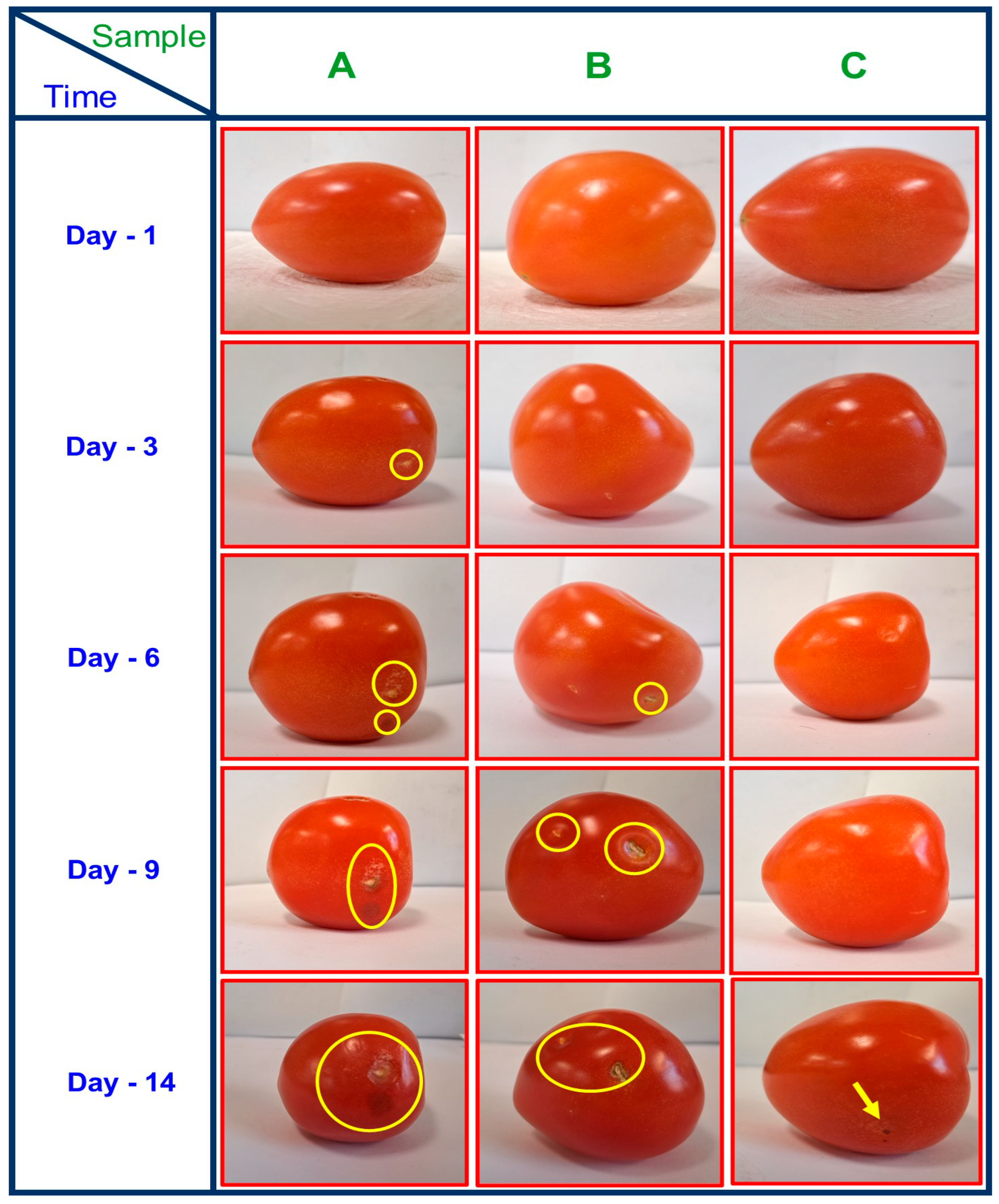 Polymers 16 01283 g008