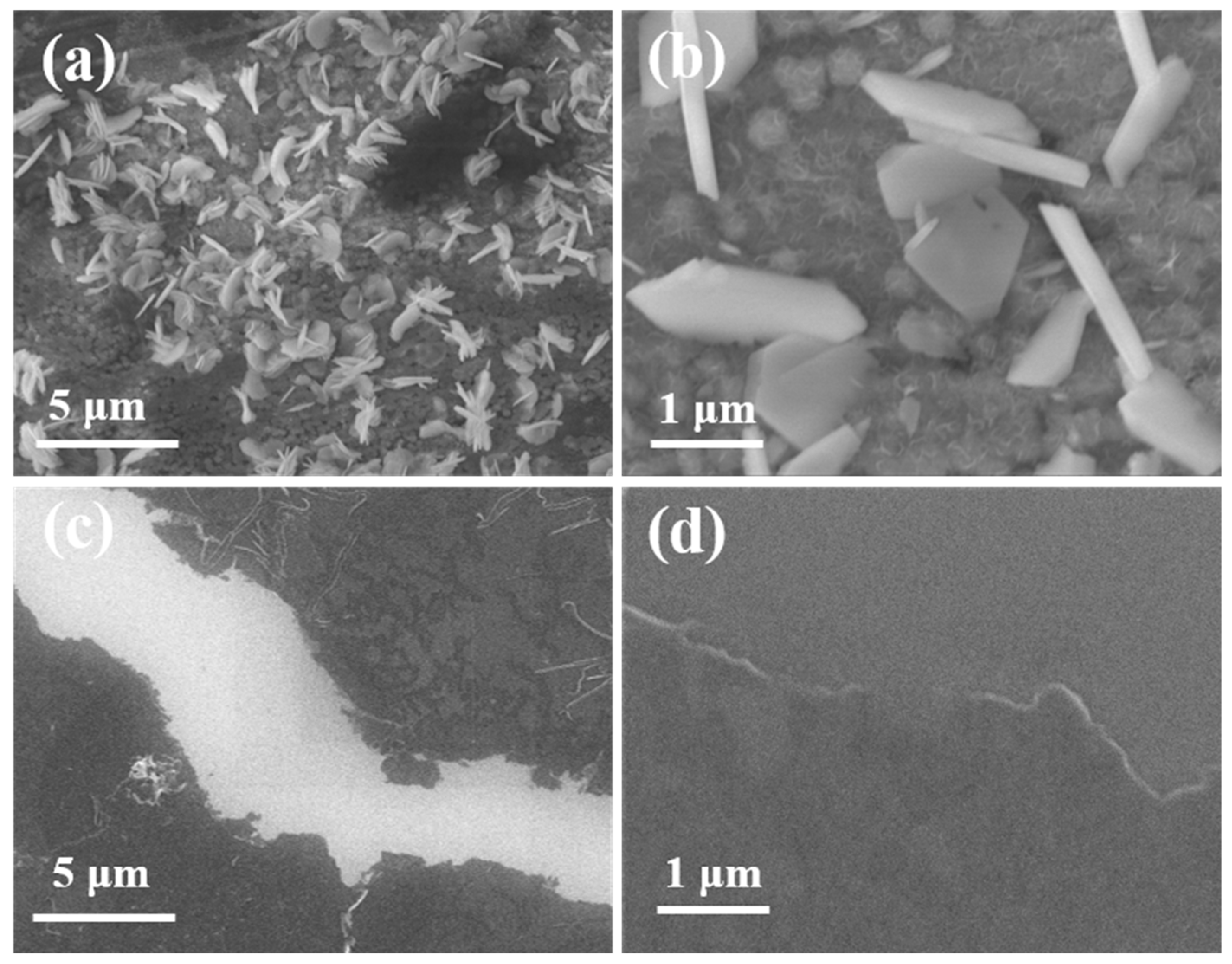Polymers 16 01285 g001 Polymers 16 01285 g001