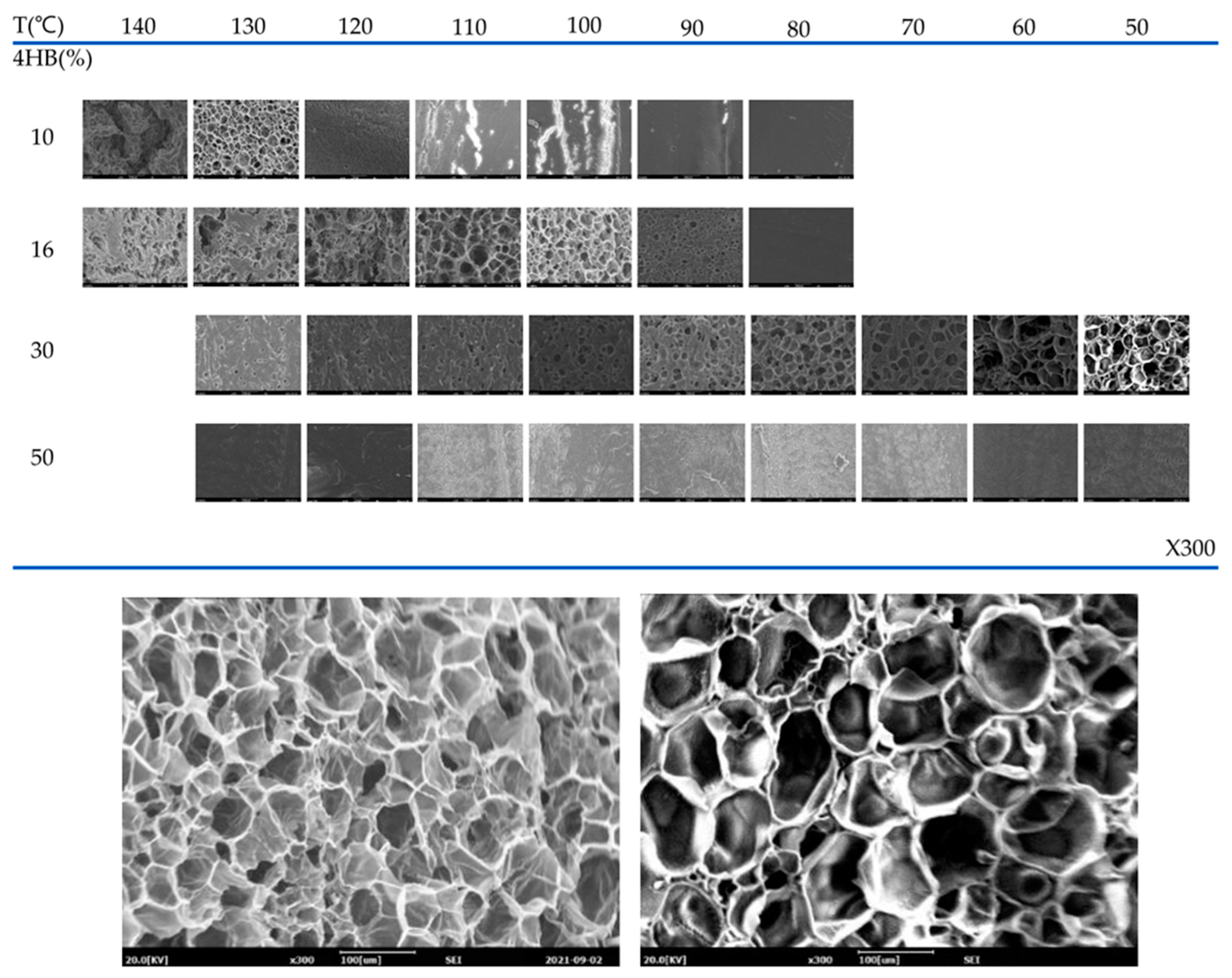 Polymers 16 01286 g015