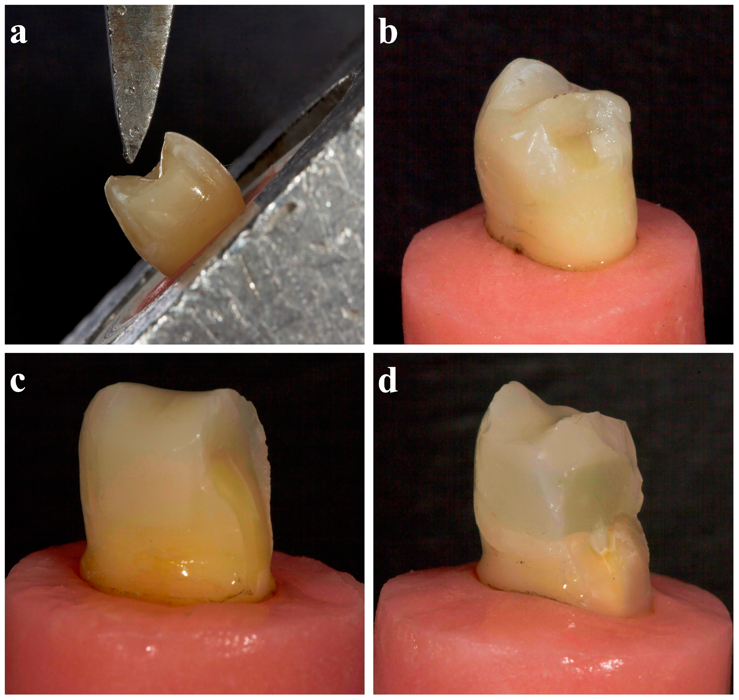 Polymers 16 01289 g003
