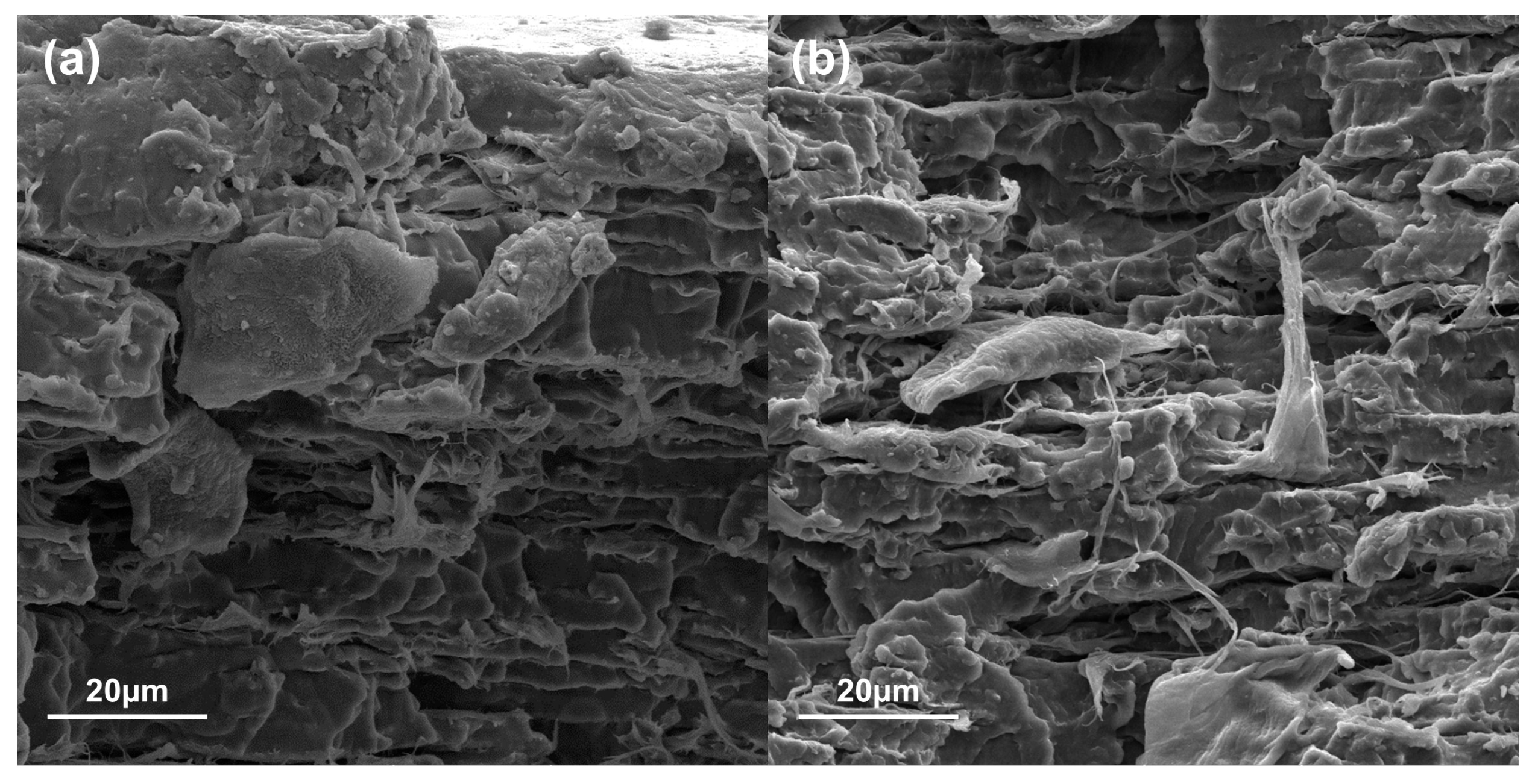 Polymers 16 01290 g005