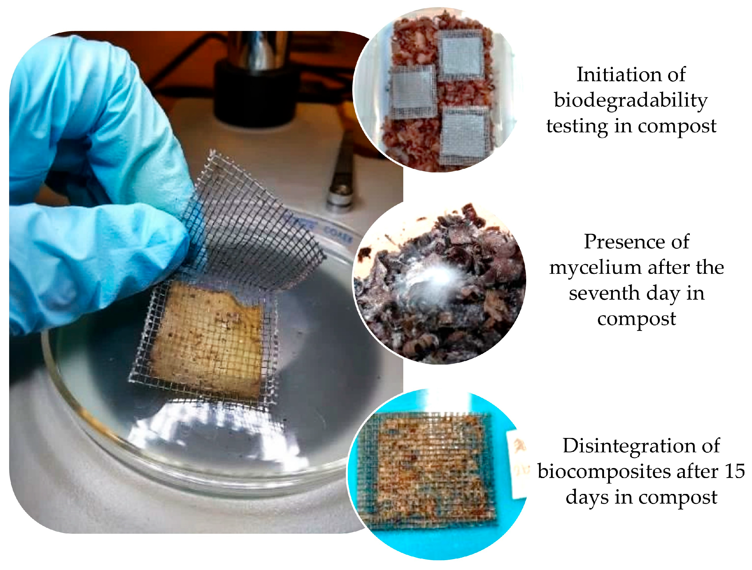 Polymers 16 01290 g010