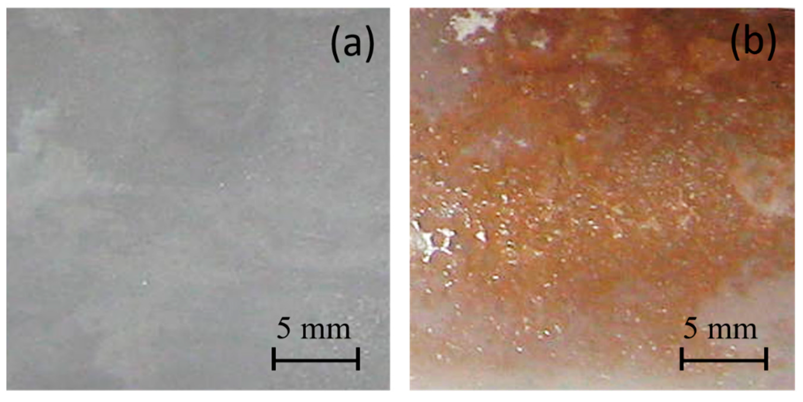 Polymers 16 01291 g001