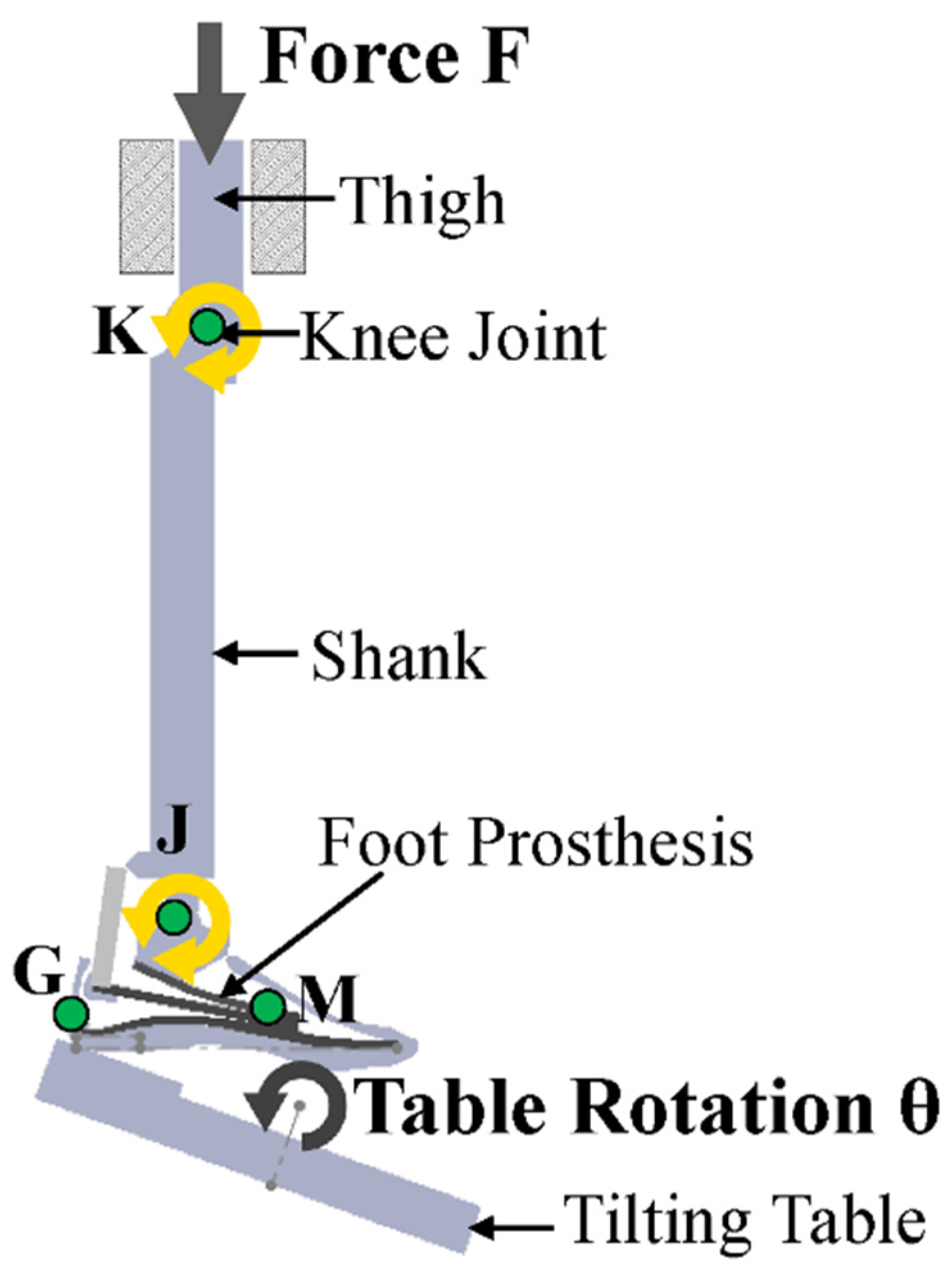 Polymers 16 01293 g007