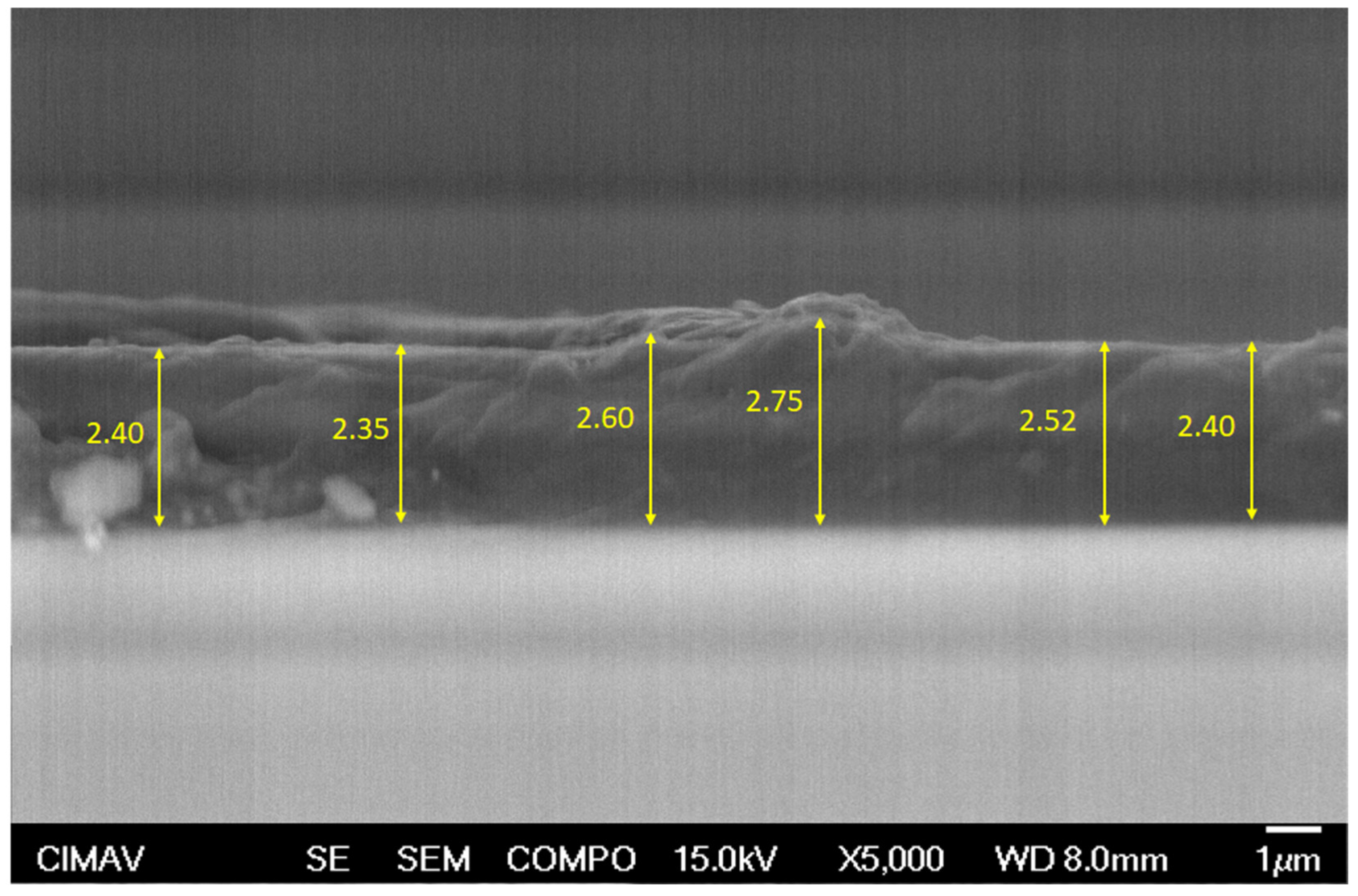 Polymers 16 01297 g006