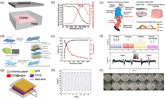 Polymers 16 01304 g007