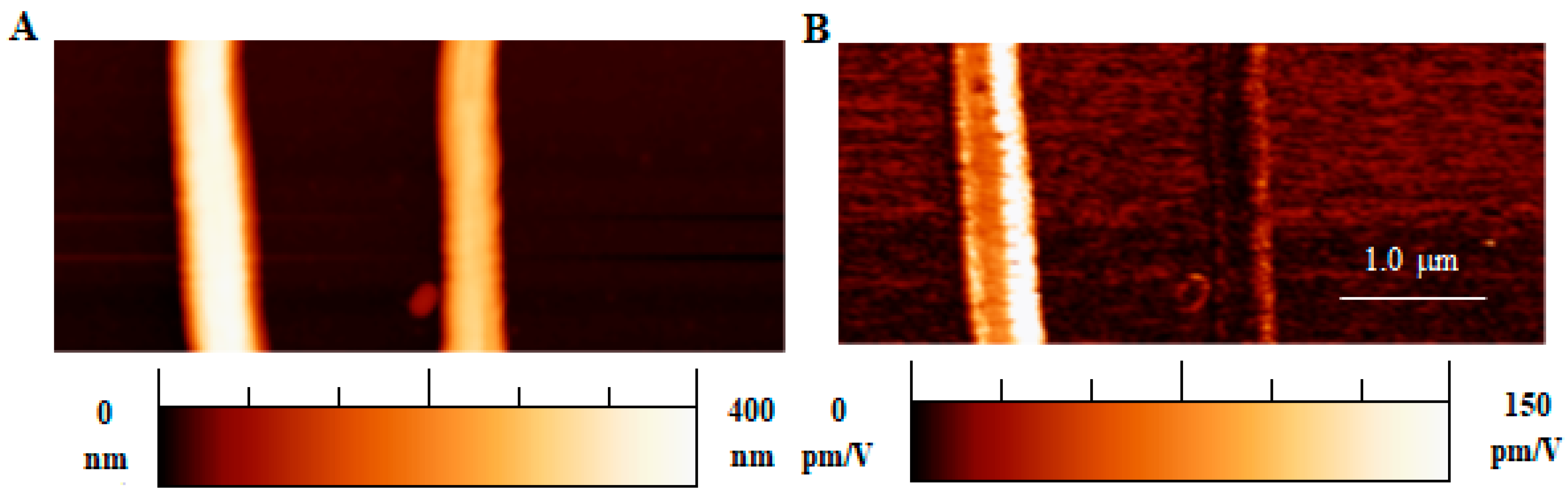 Polymers 16 01305 g005 Polymers 16 01305 g005