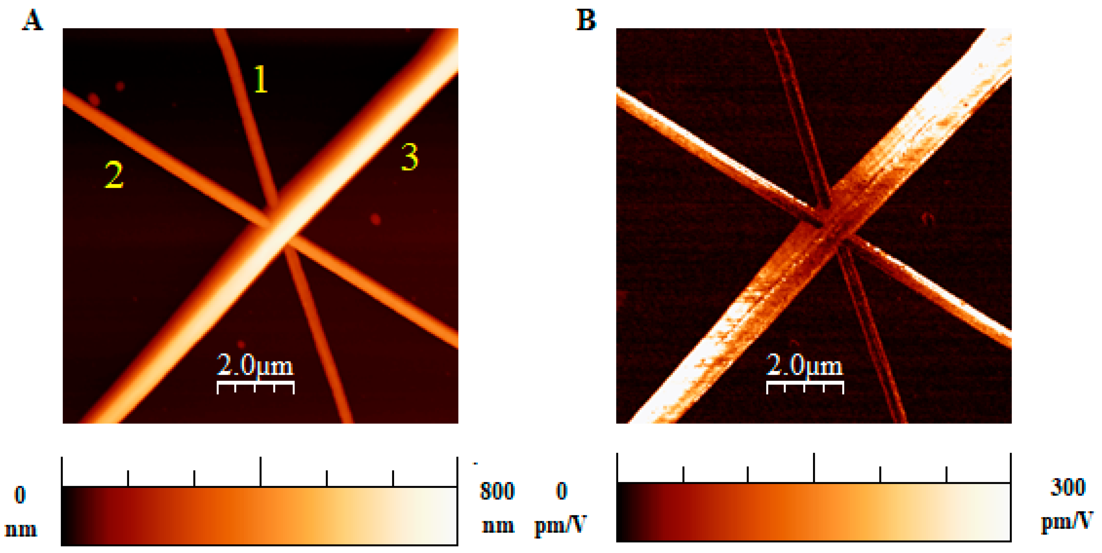 Polymers 16 01305 g006 Polymers 16 01305 g006