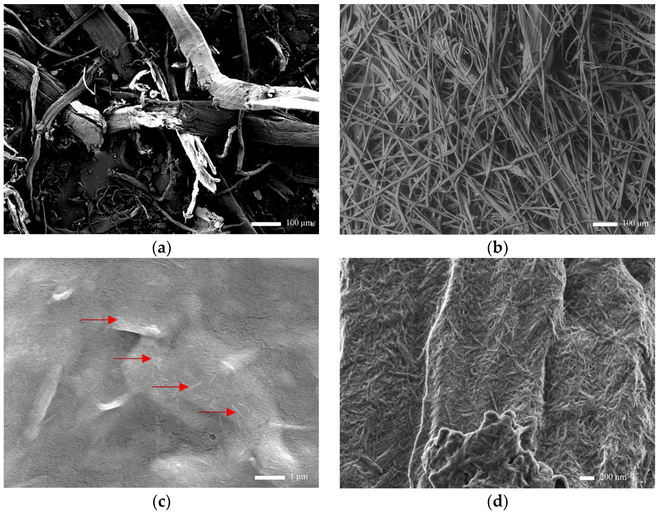Polymers 16 01312 g002