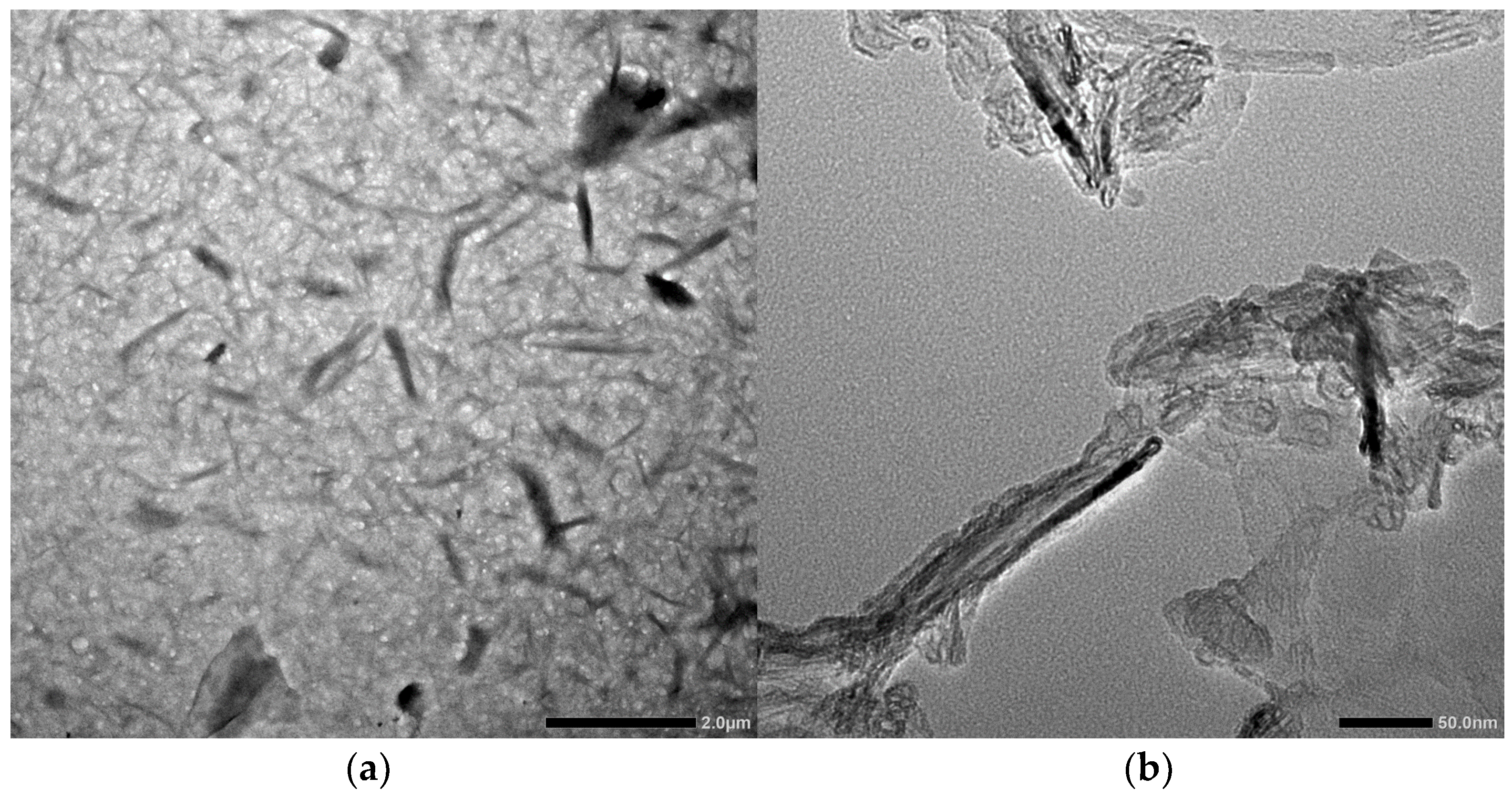 Polymers 16 01312 g003