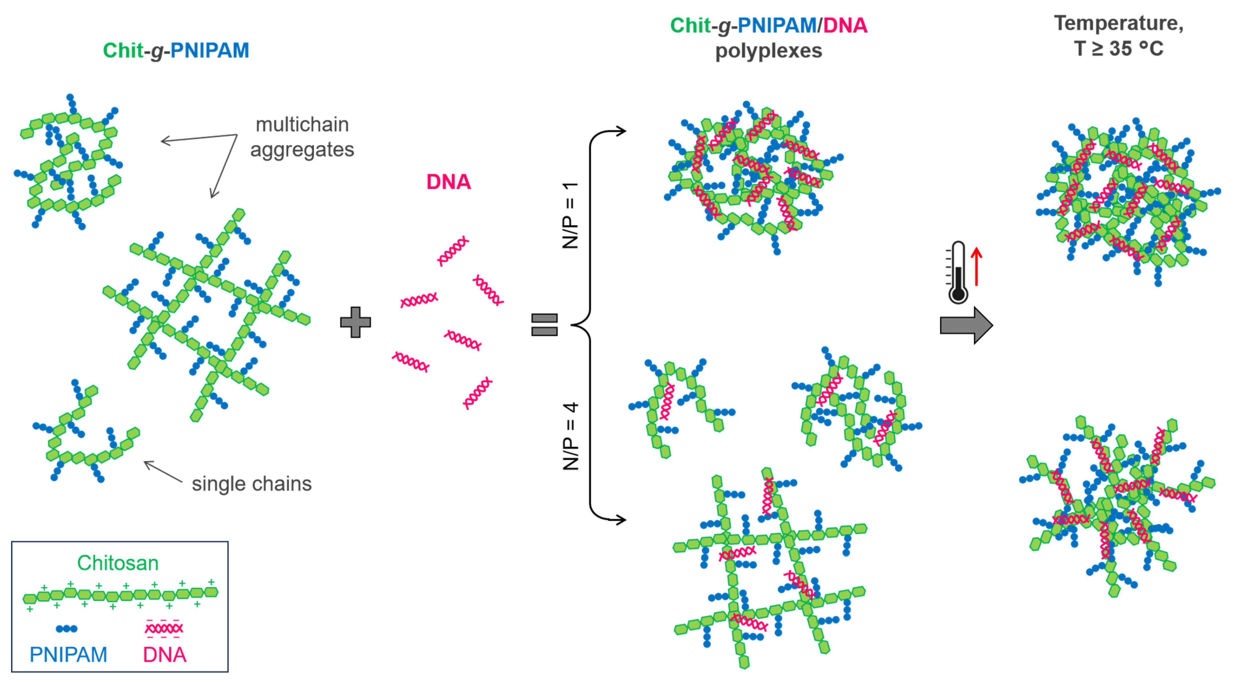 Polymers 16 01315 g008