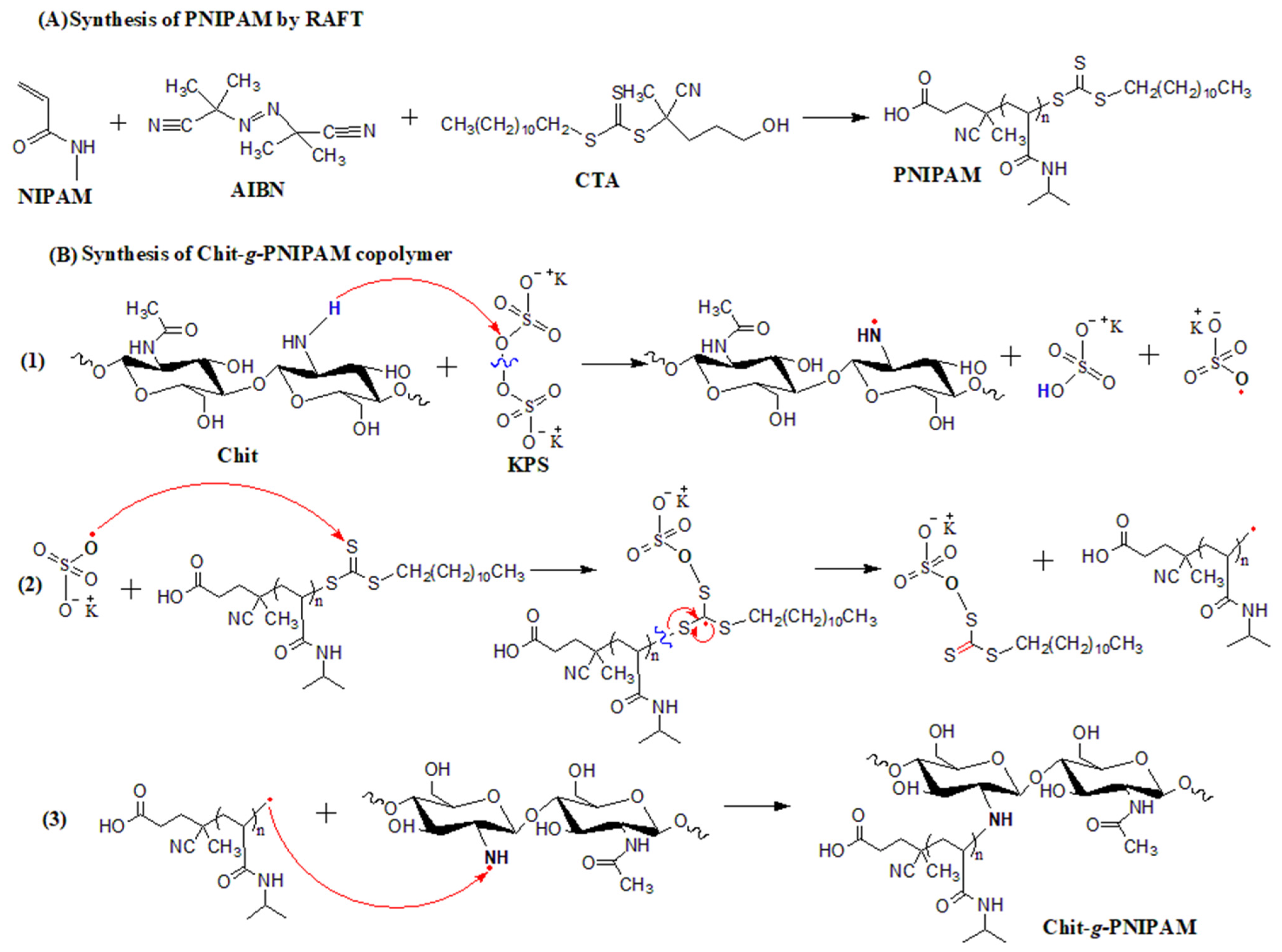 Polymers 16 01315 sch001