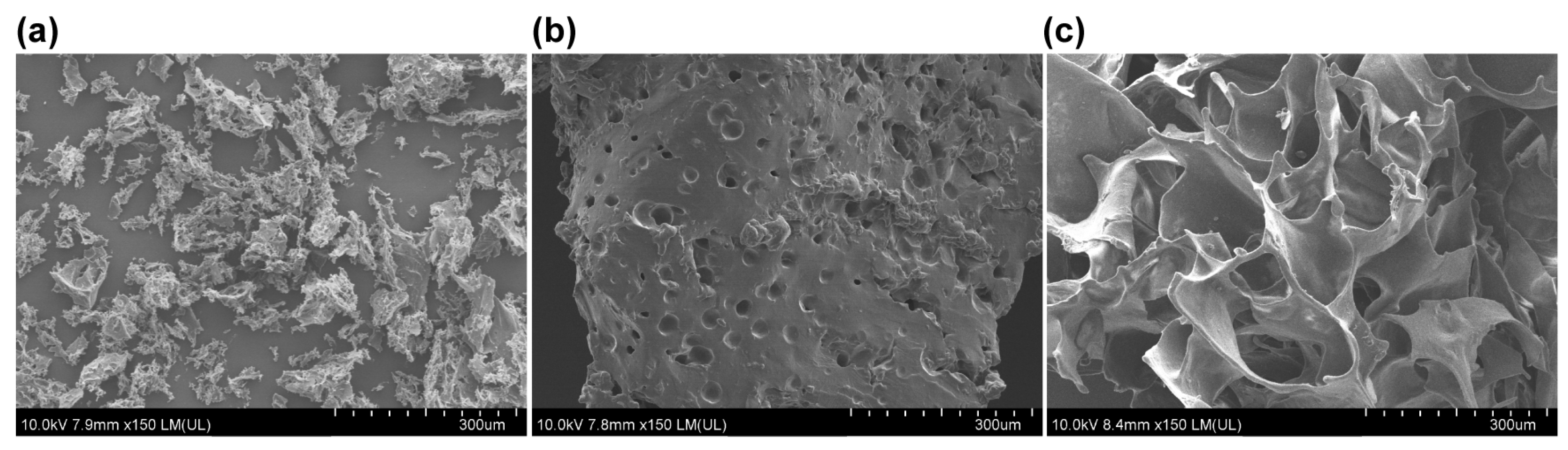Polymers 16 01323 g003