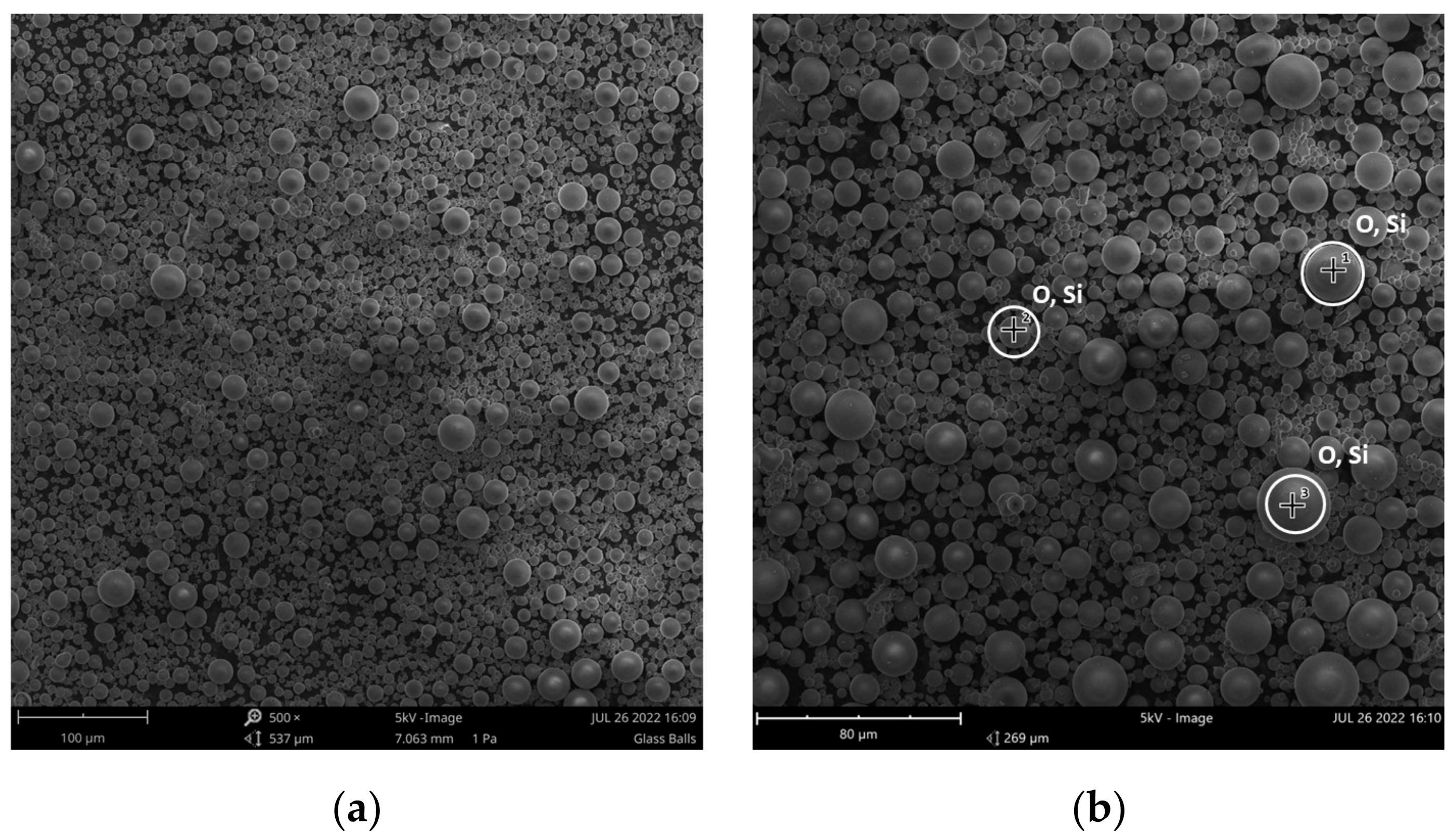 Polymers 16 01326 g002