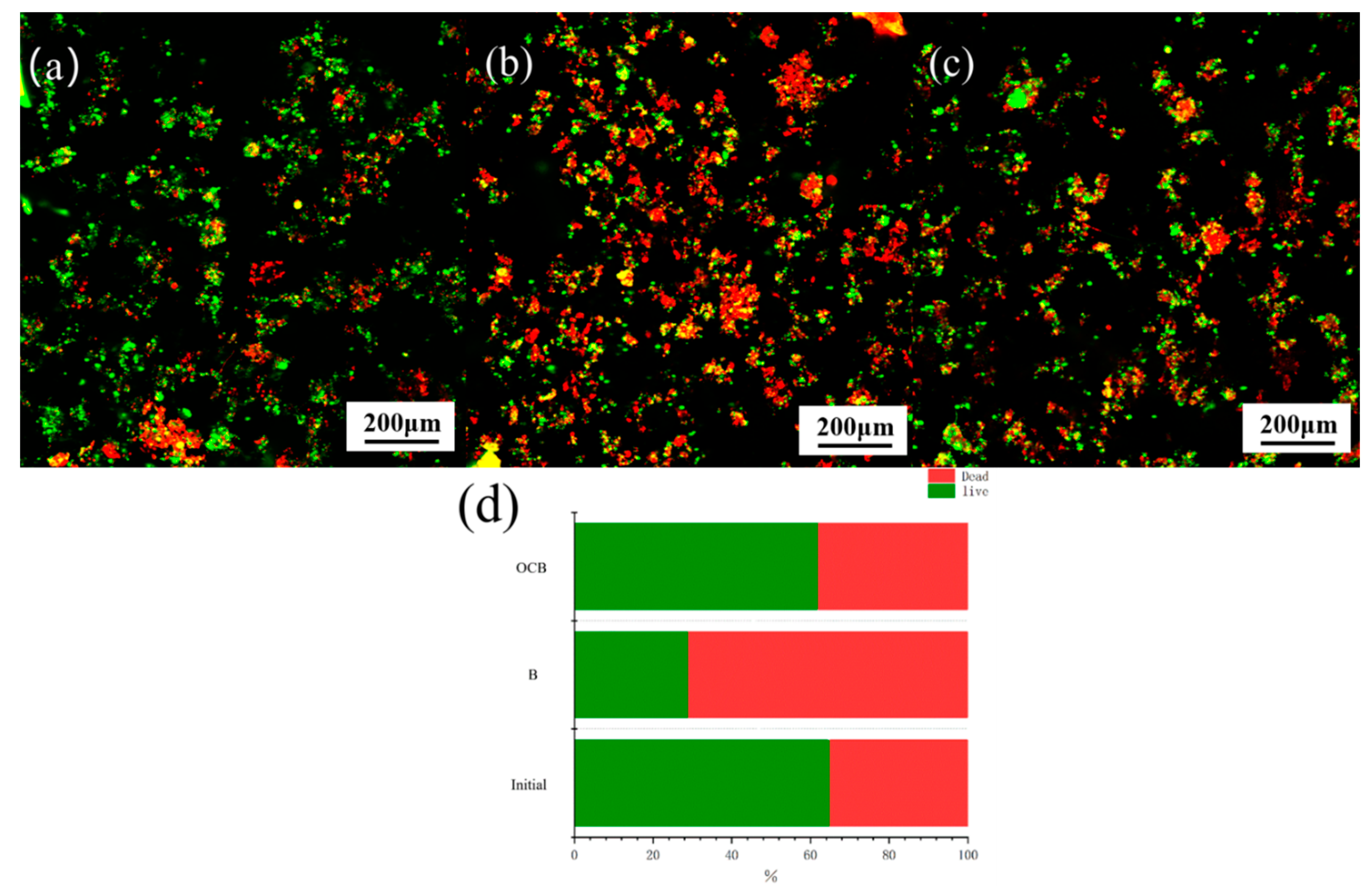 Polymers 16 01329 g007