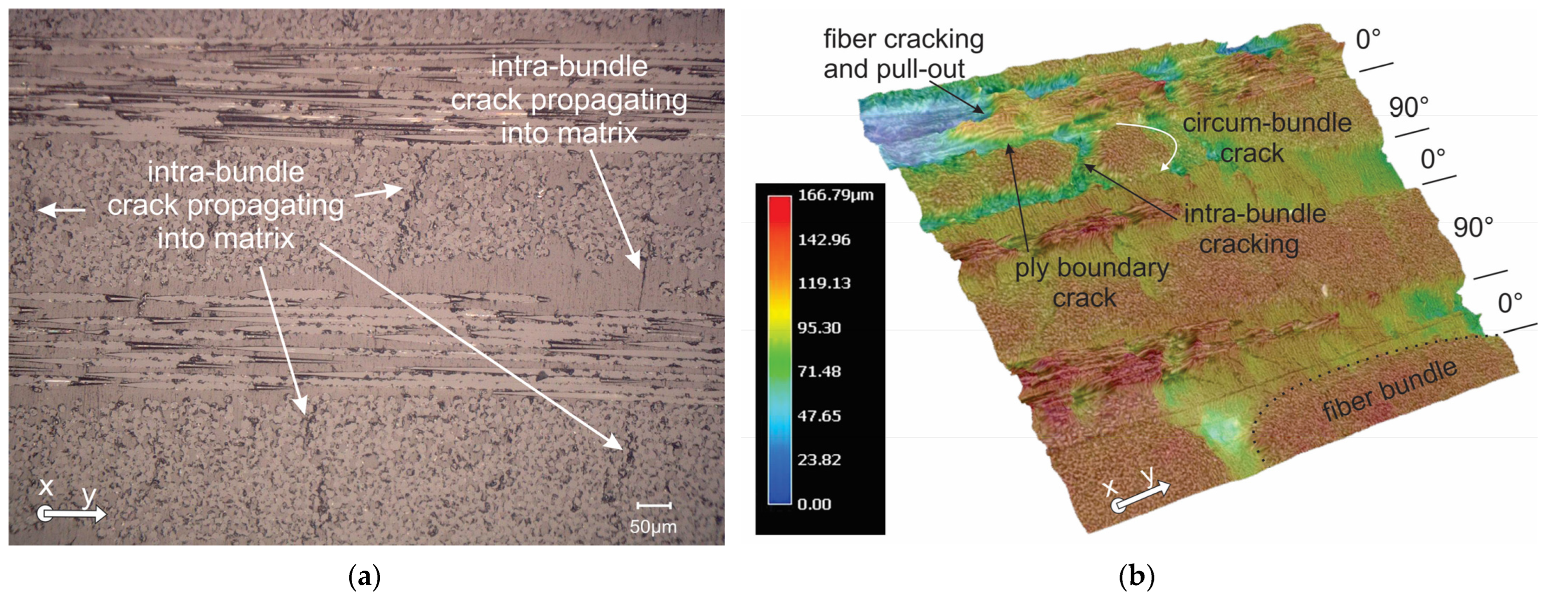Polymers 16 01331 g006