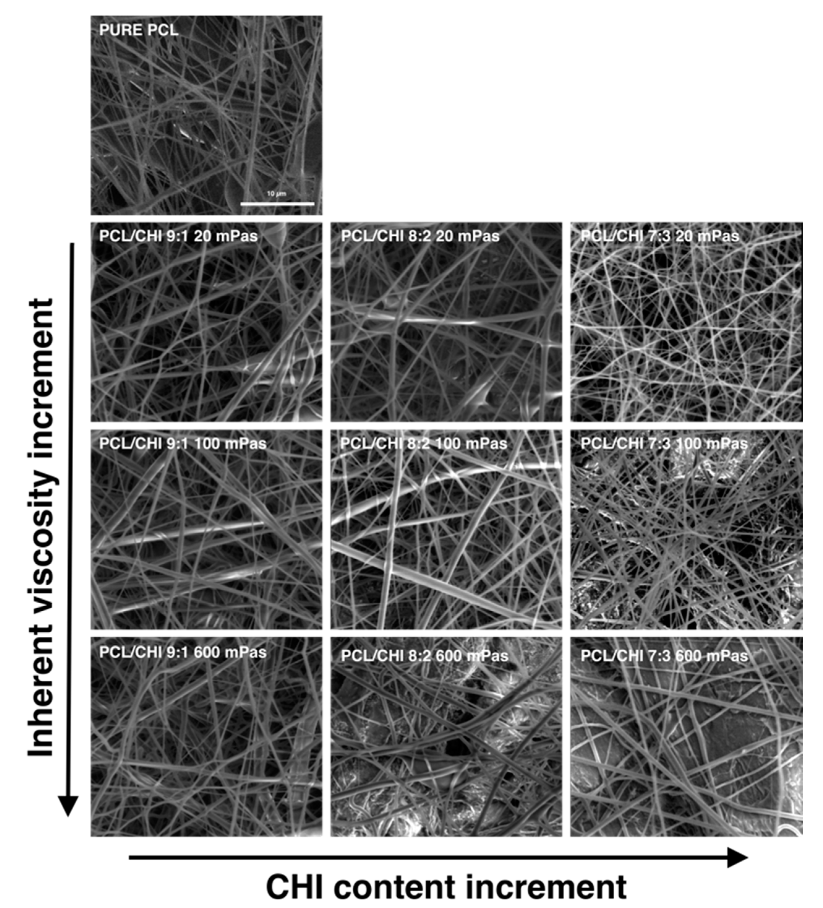 Polymers 16 01333 g001