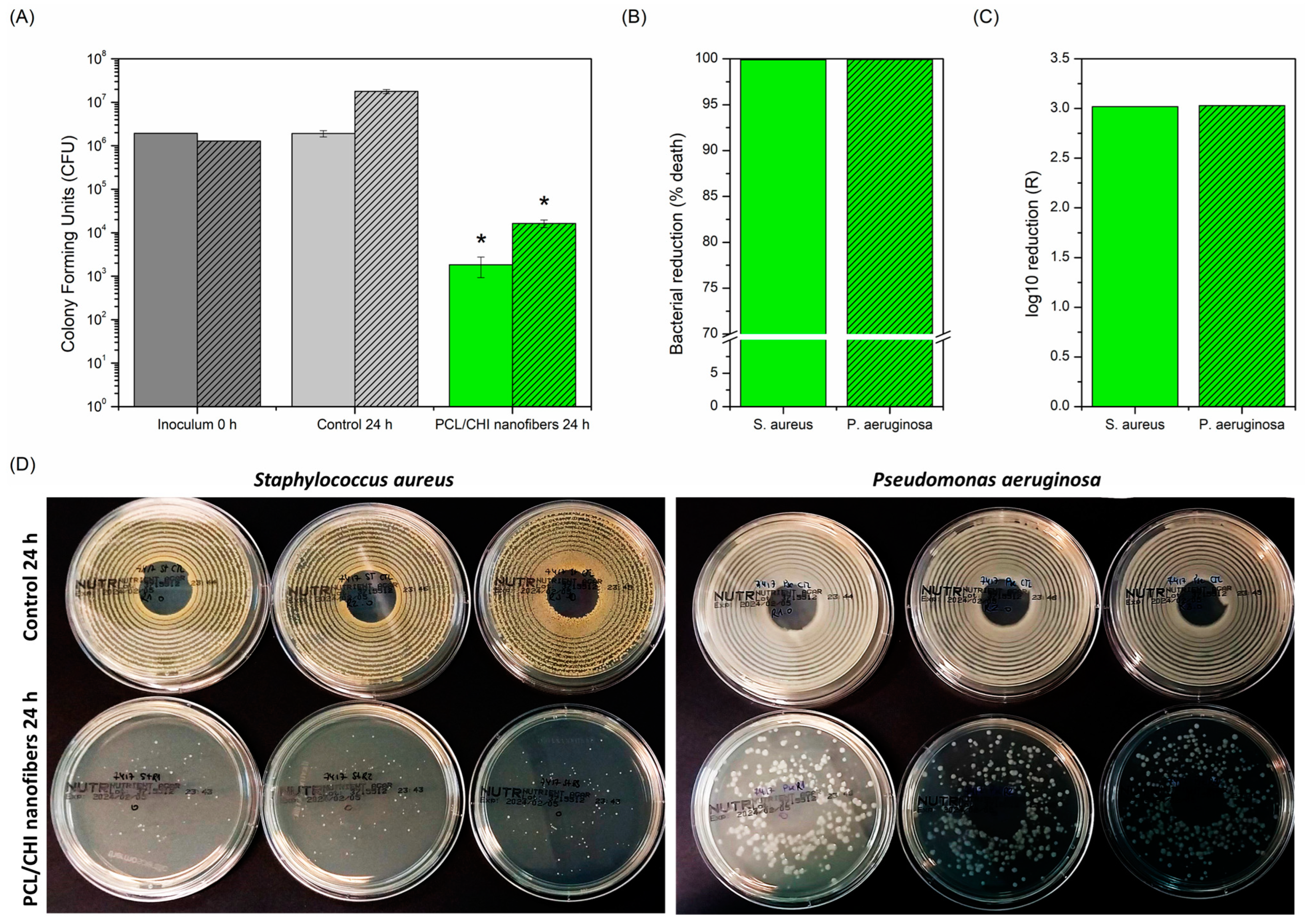 Polymers 16 01333 g008