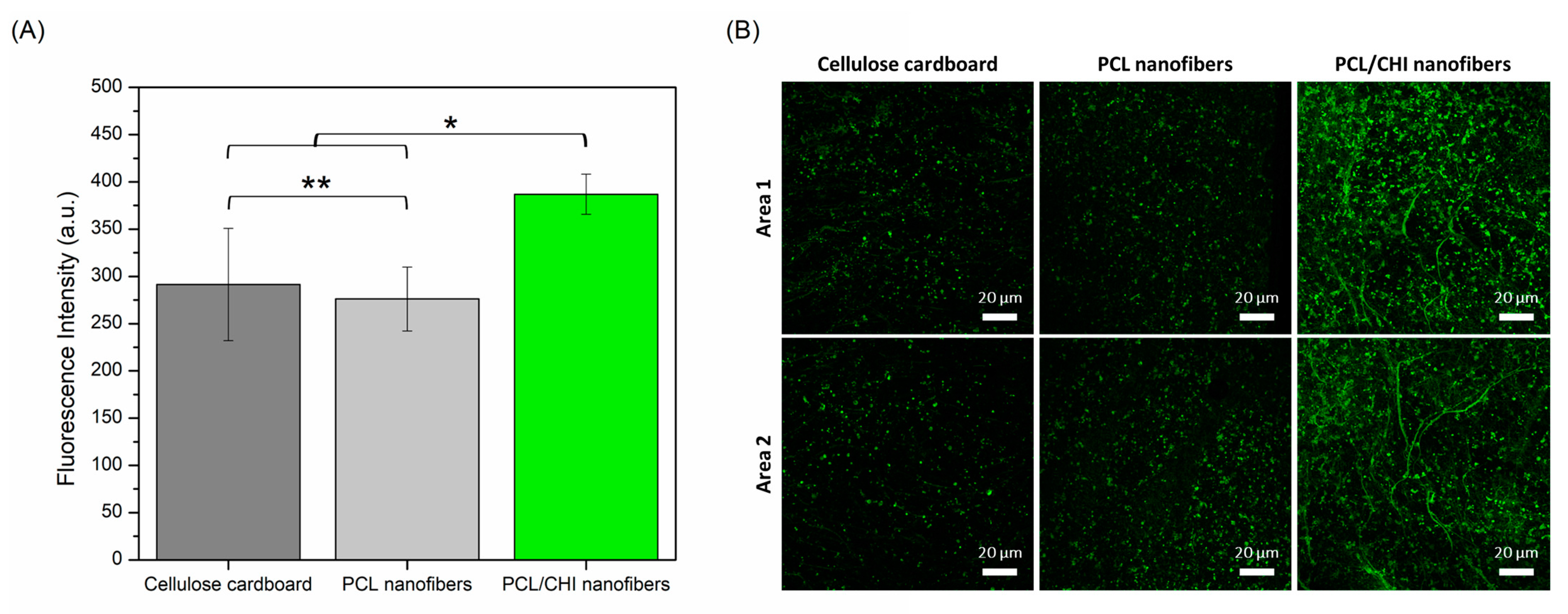 Polymers 16 01333 g009