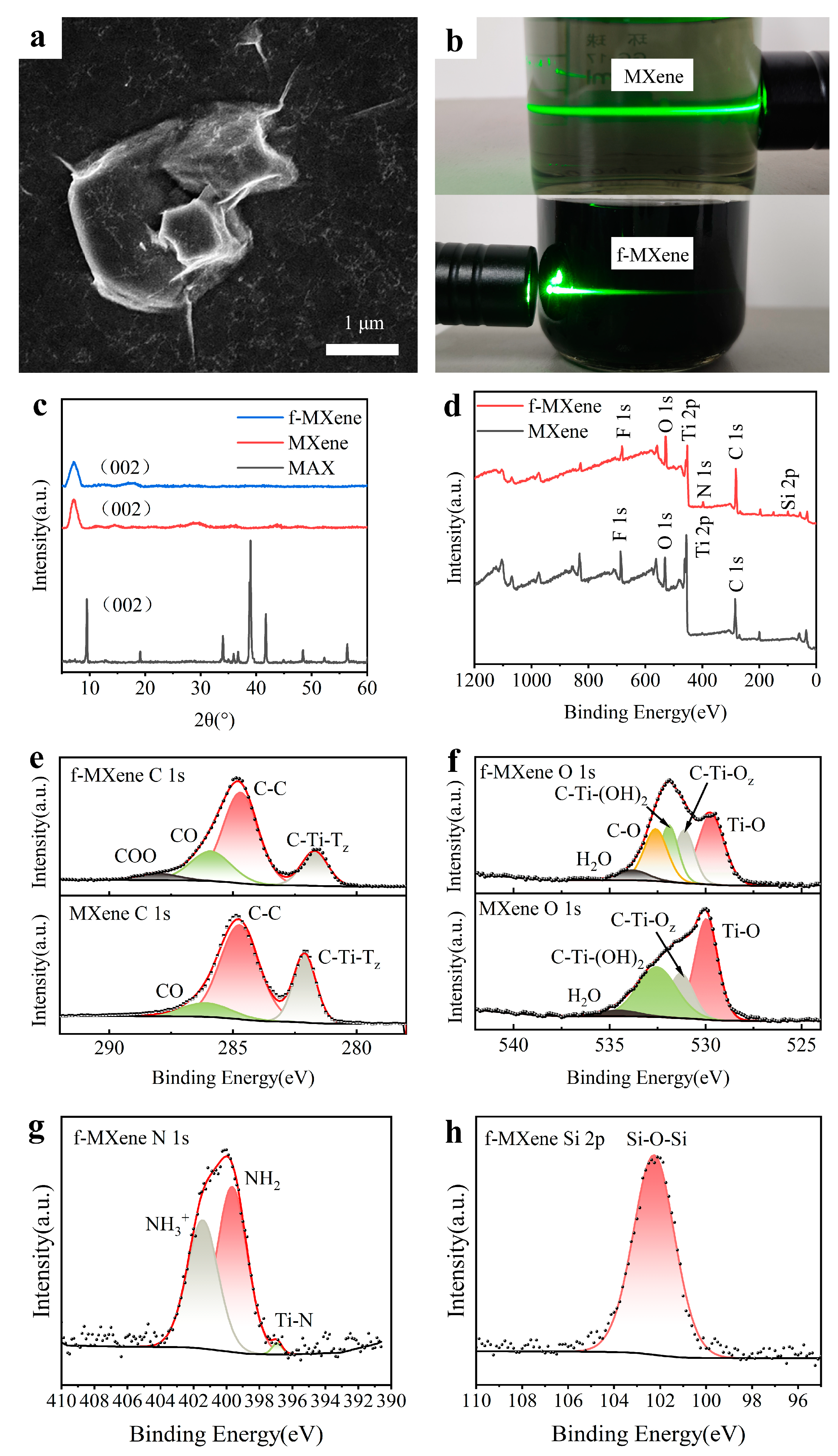 Polymers 16 01337 g002