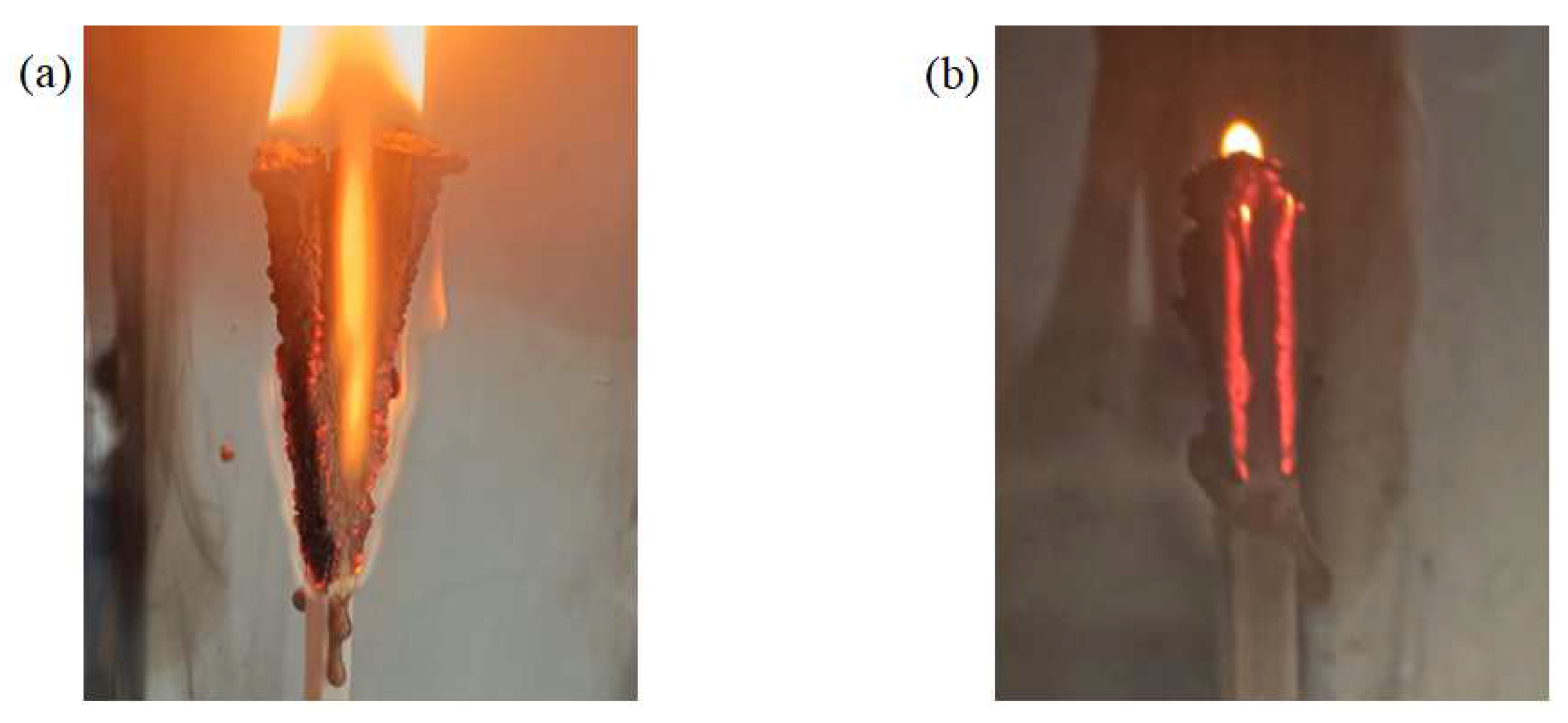 Polymers 16 01341 g011