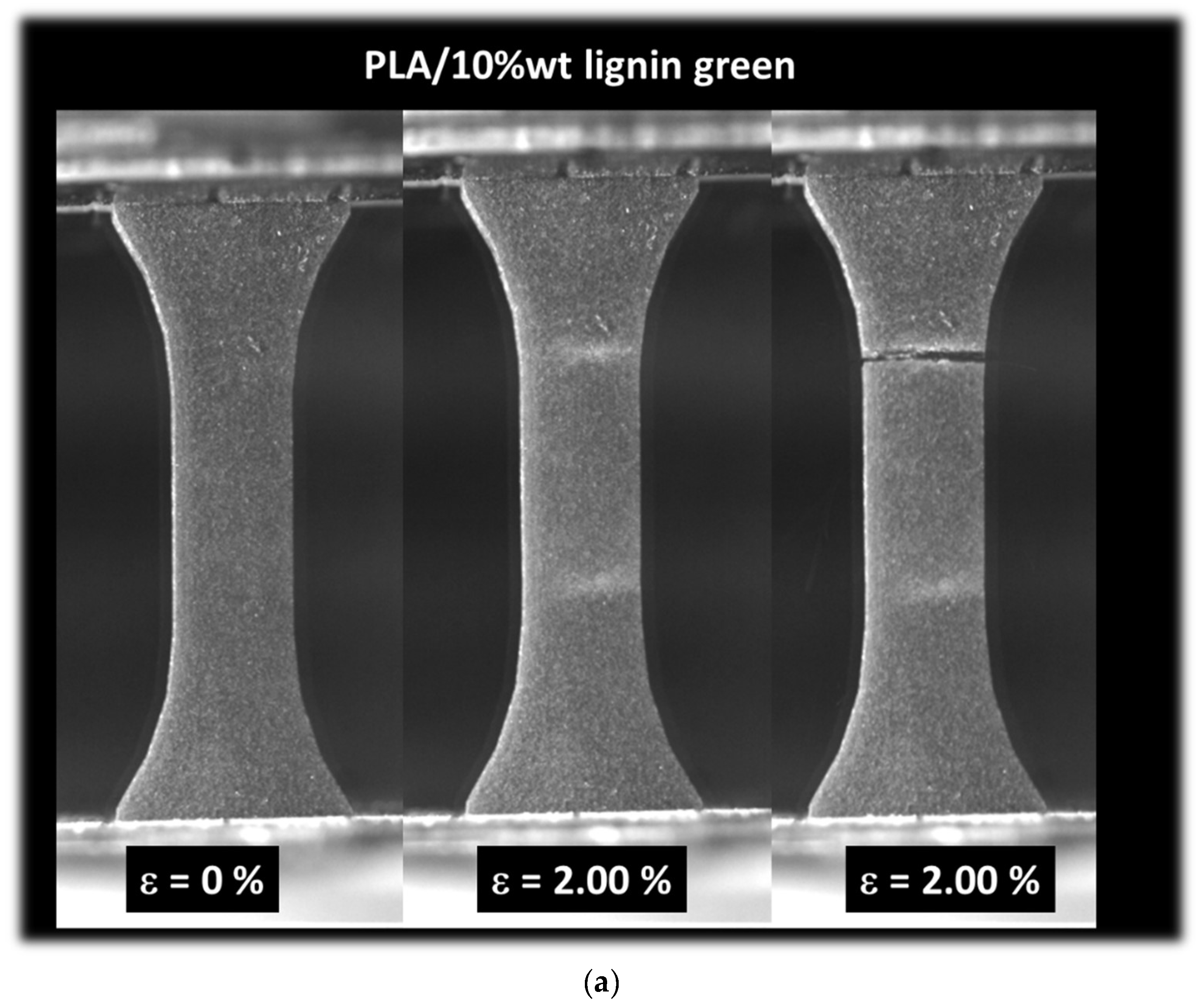 Polymers 16 01342 g009a