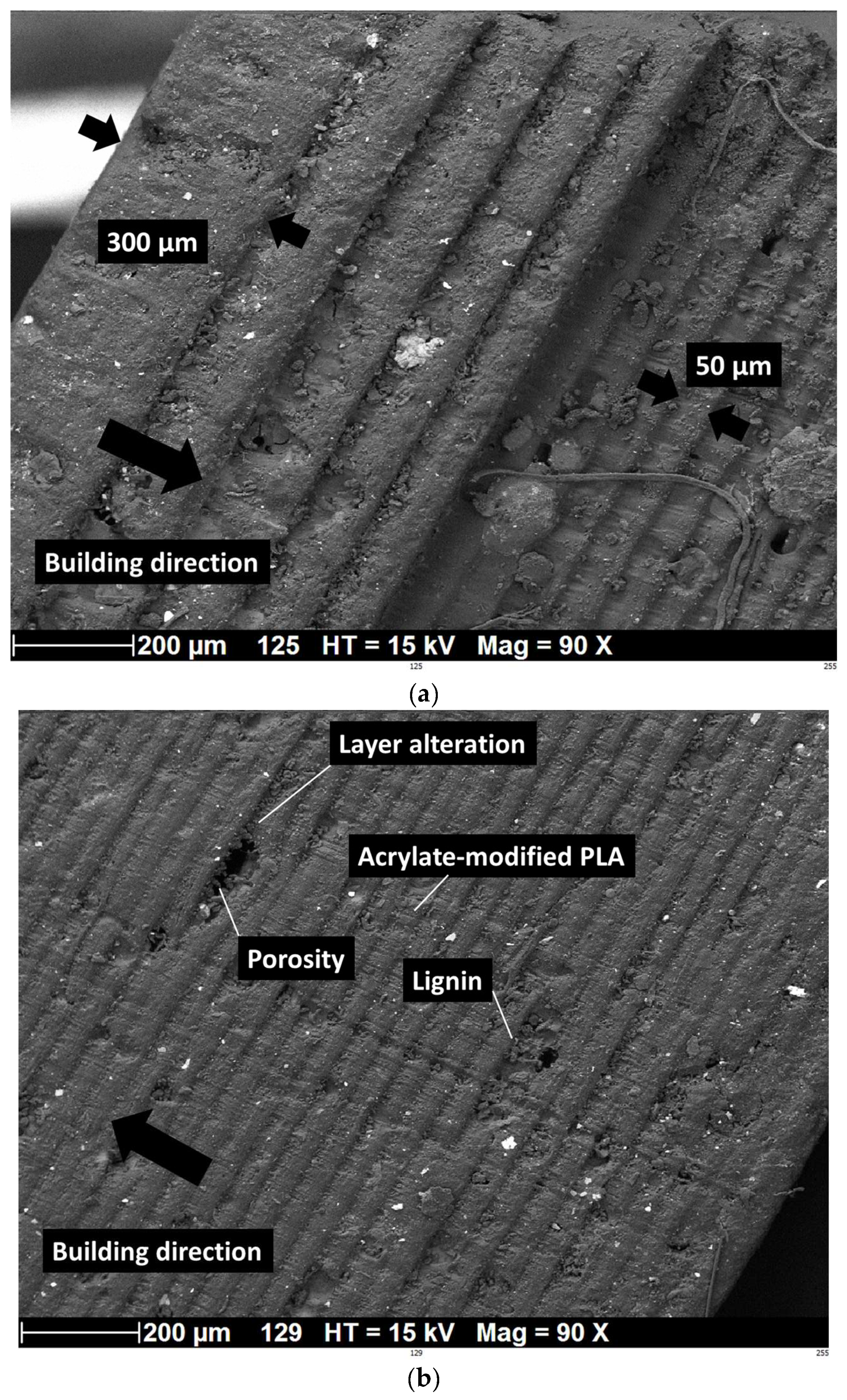 Polymers 16 01342 g011