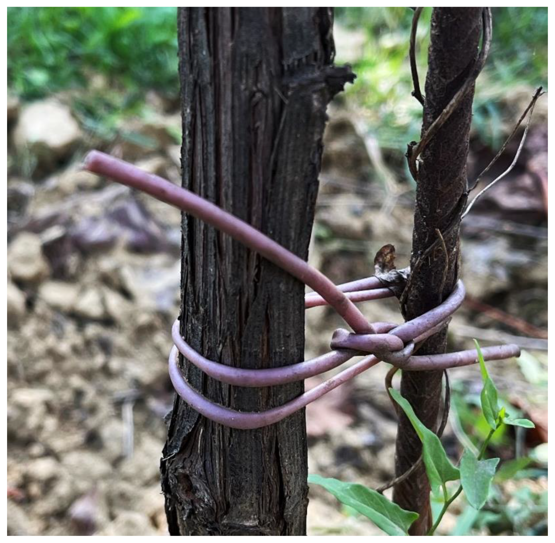 Polymers 16 01344 g008