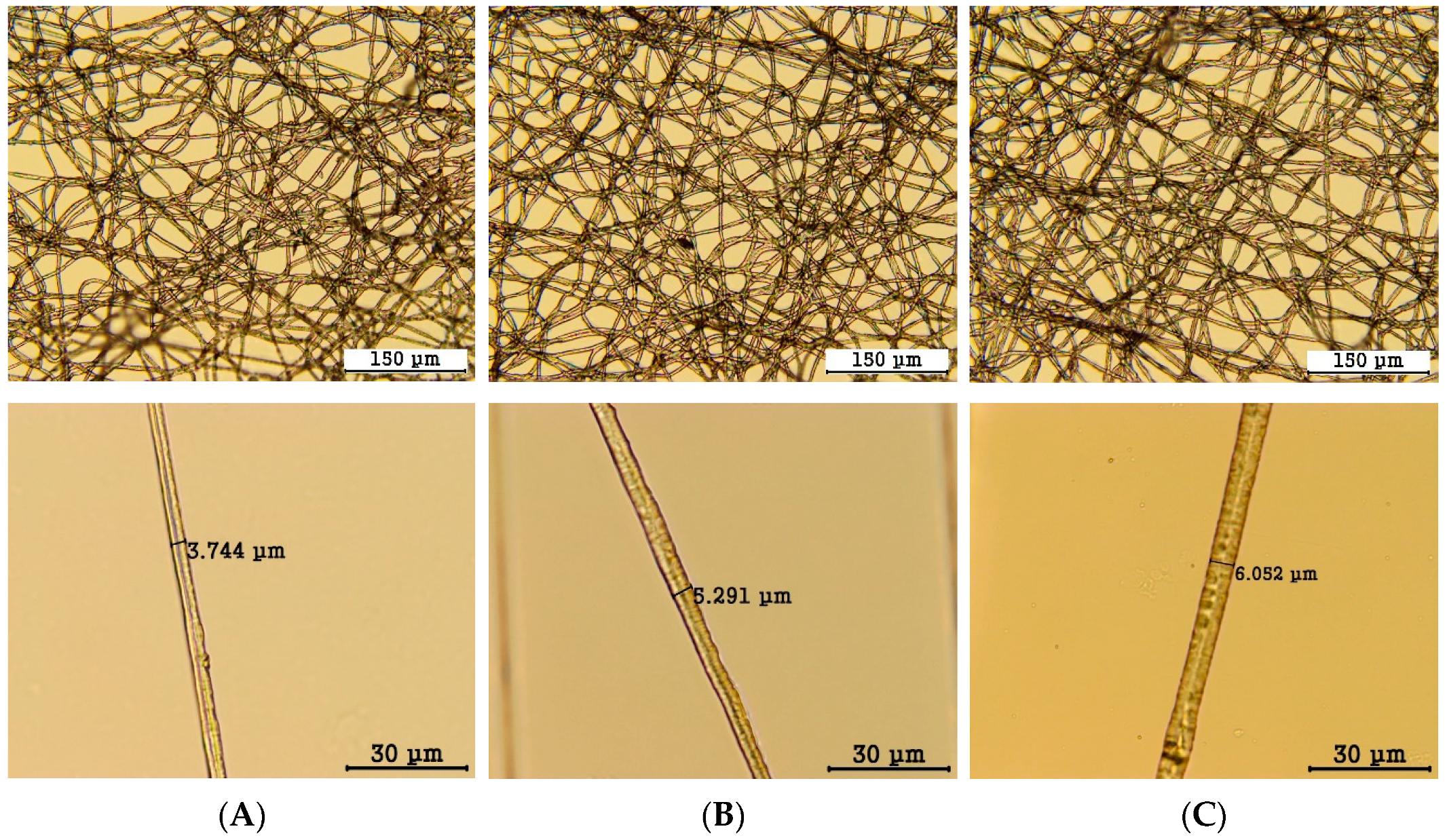 Polymers 16 01347 g005
