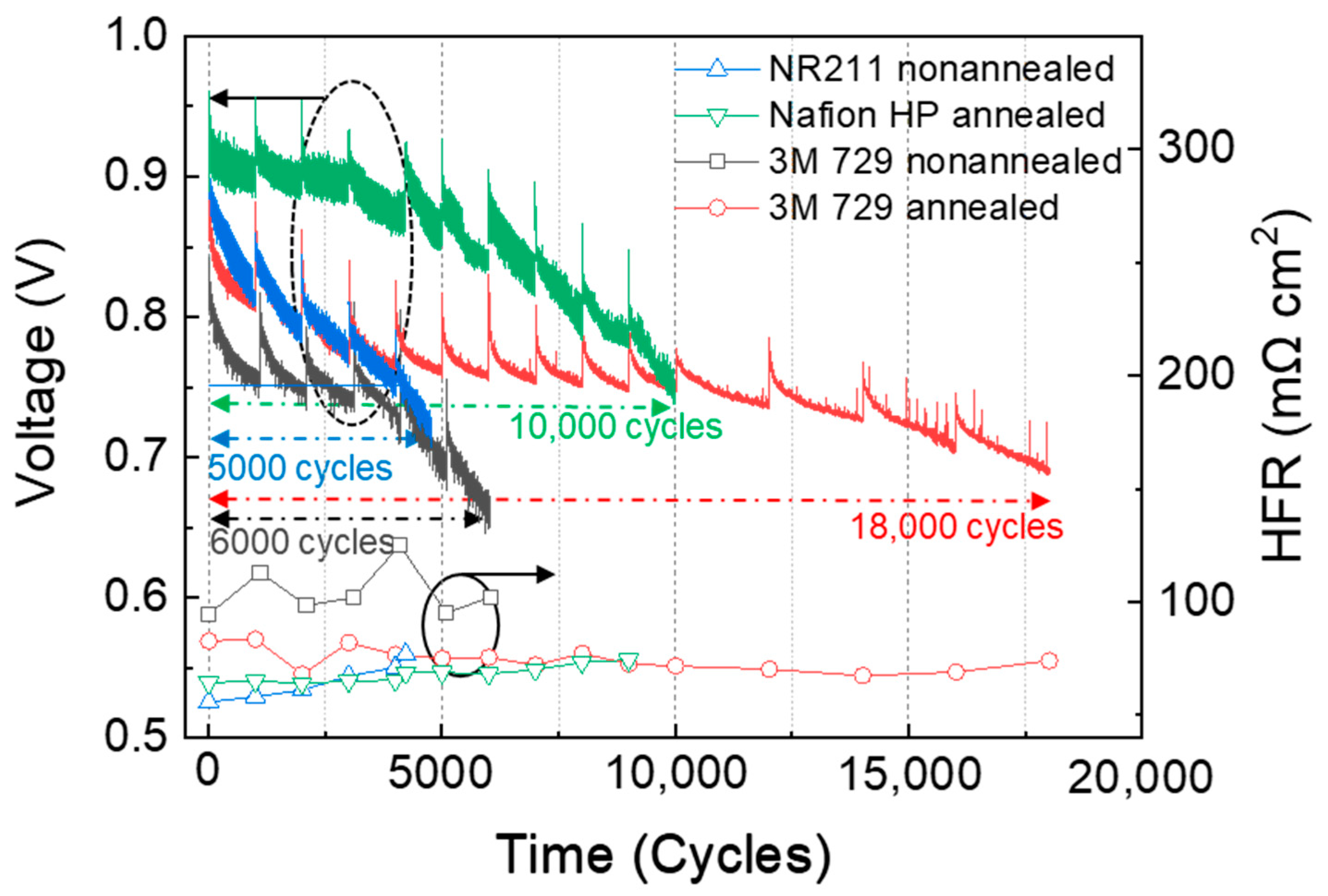 Polymers 16 01348 g002