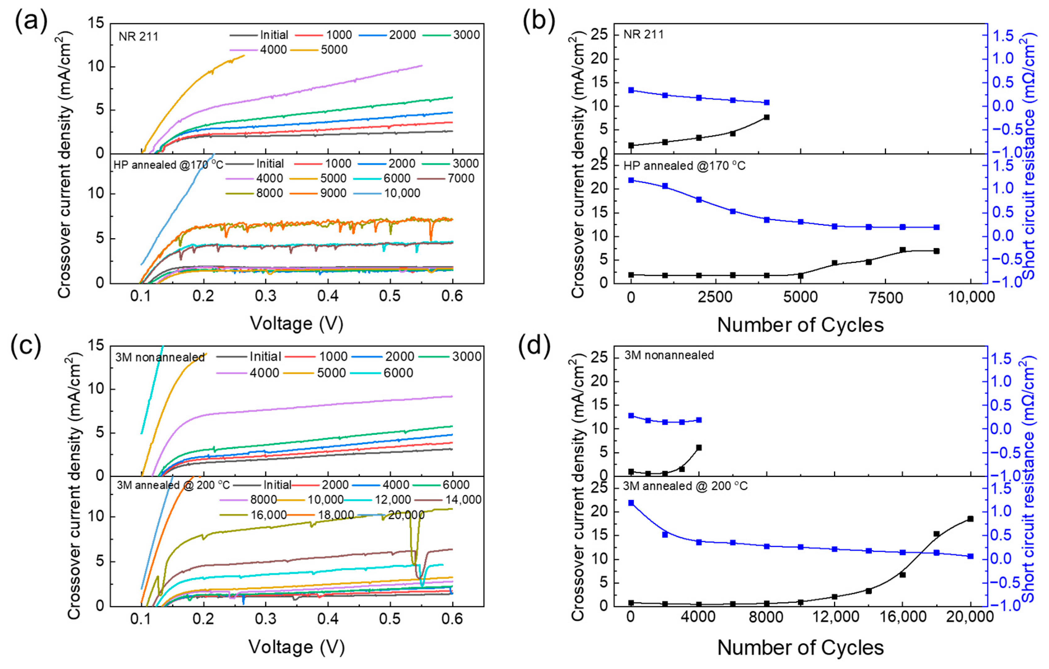 Polymers 16 01348 g003