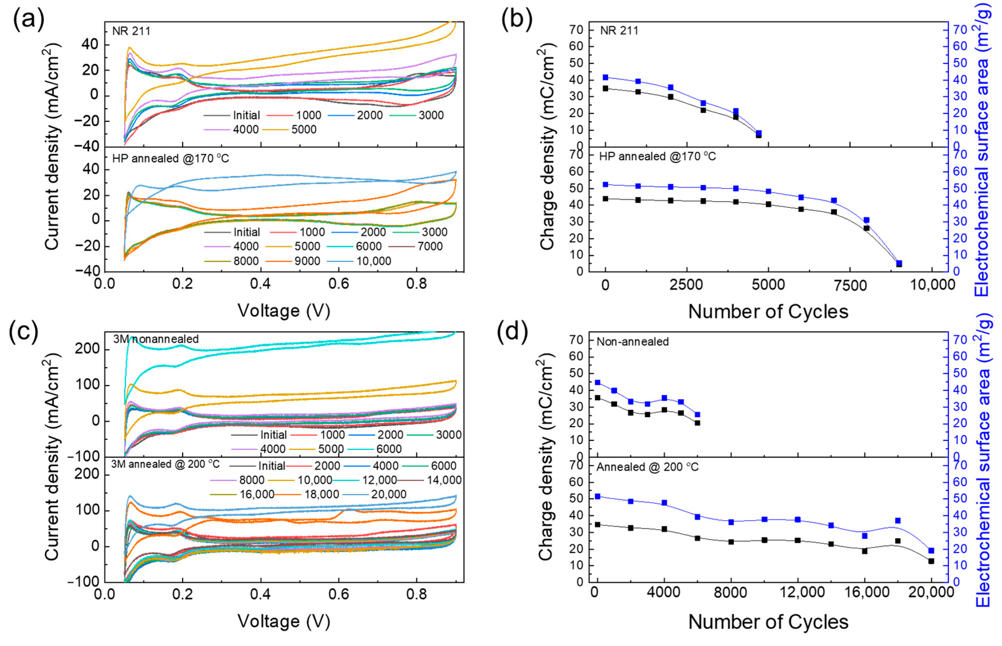 Polymers 16 01348 g004