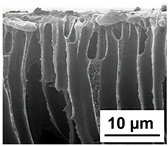 Polymers 16 01349 i008