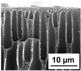 Polymers 16 01349 i012