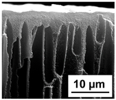 Polymers 16 01349 i014