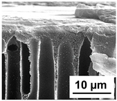 Polymers 16 01349 i016